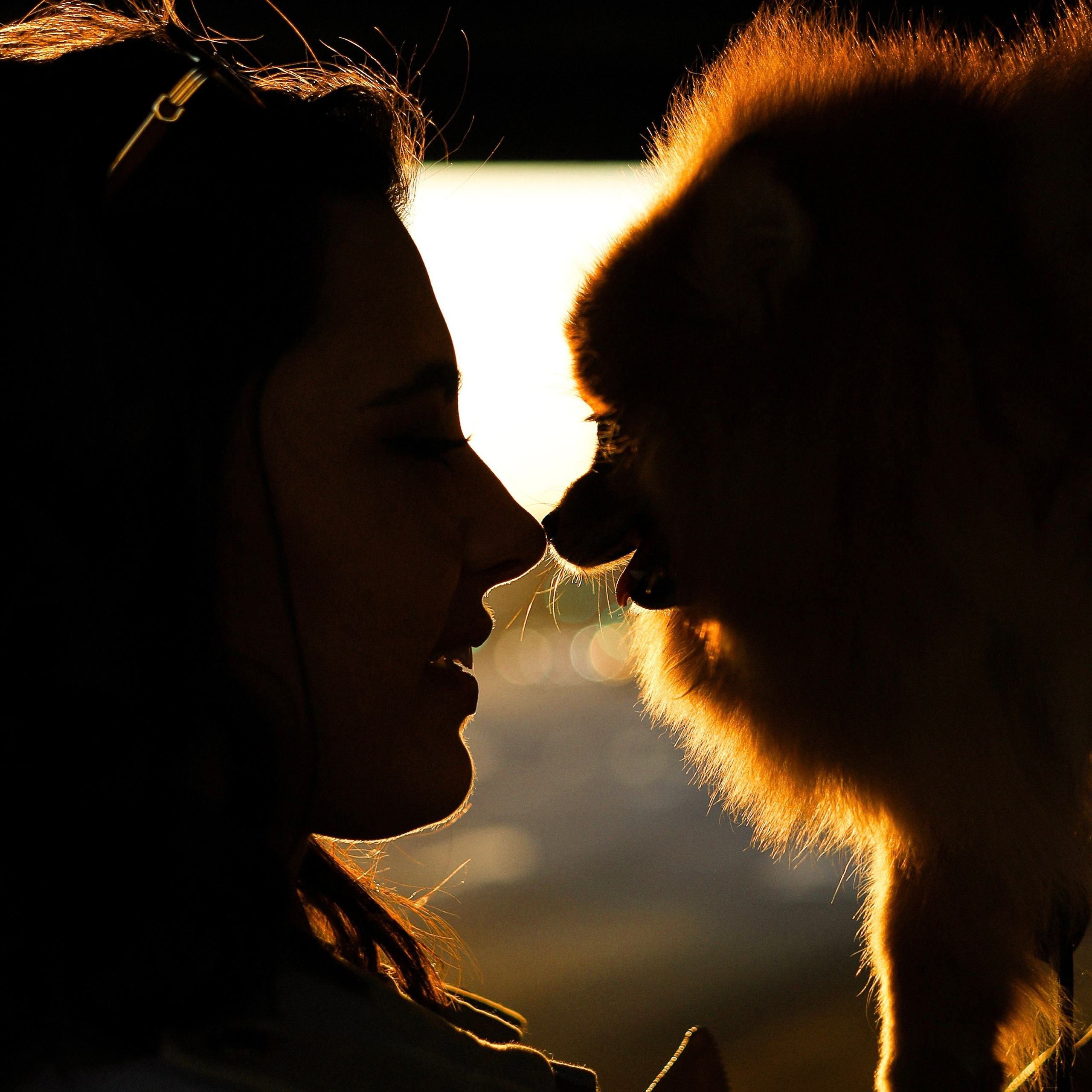 Отзывы. Фотограф-анималист Ксения Шевцова|Москва