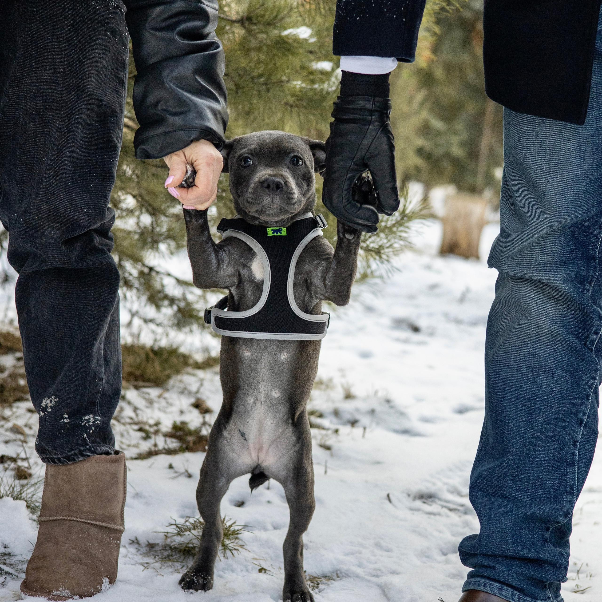 Дарси, Тимур и Юля