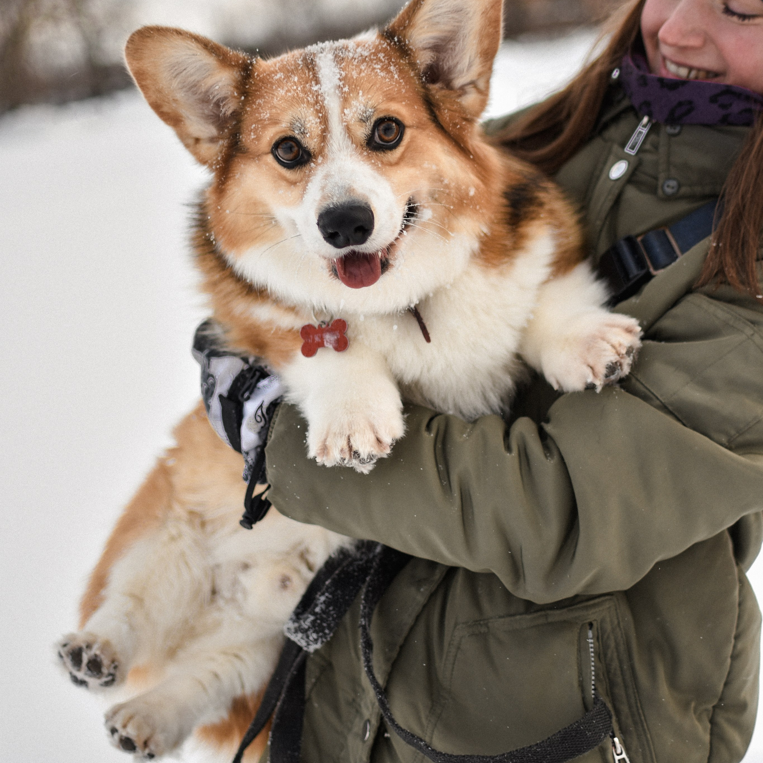 Алекс и Вера