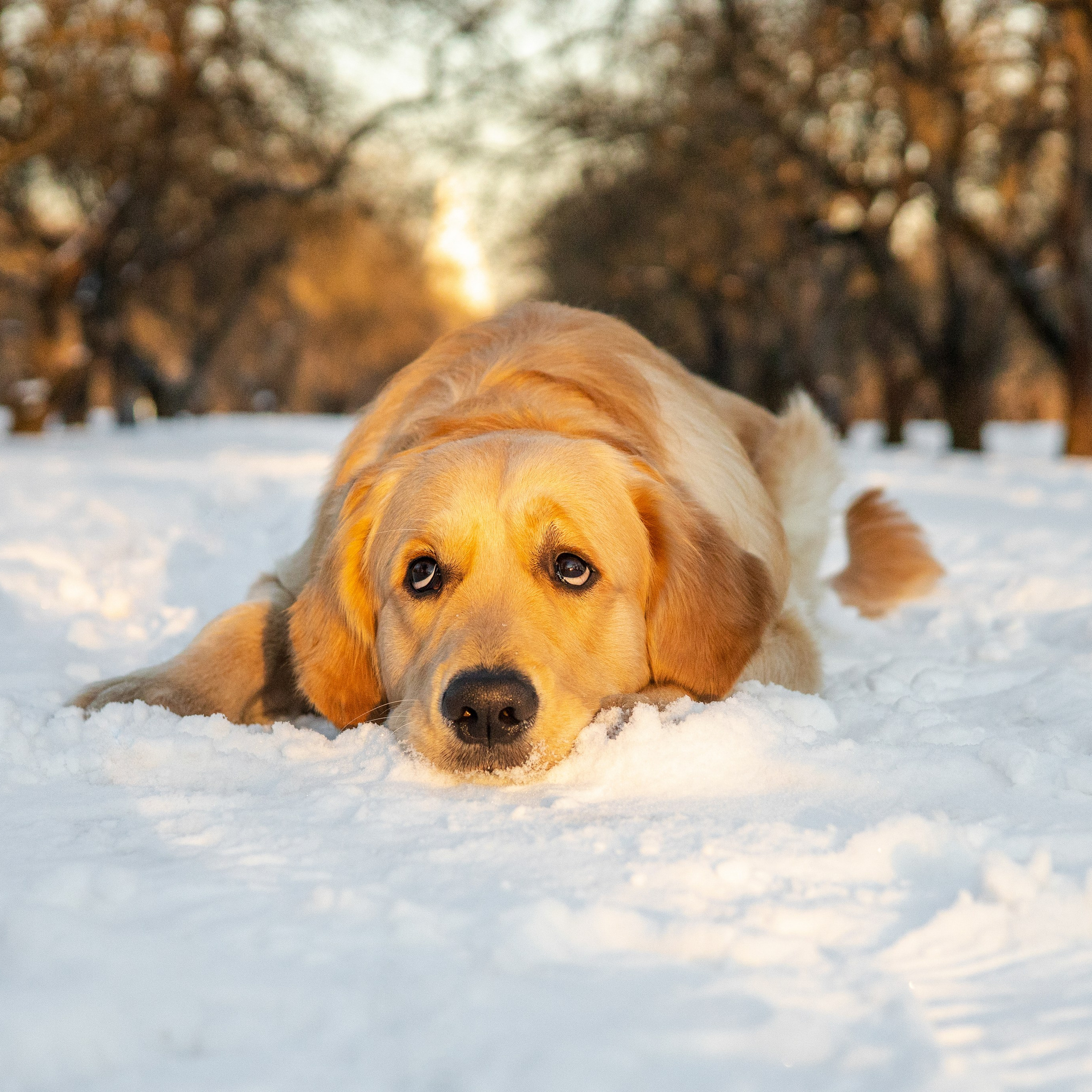 Ларри и его семья