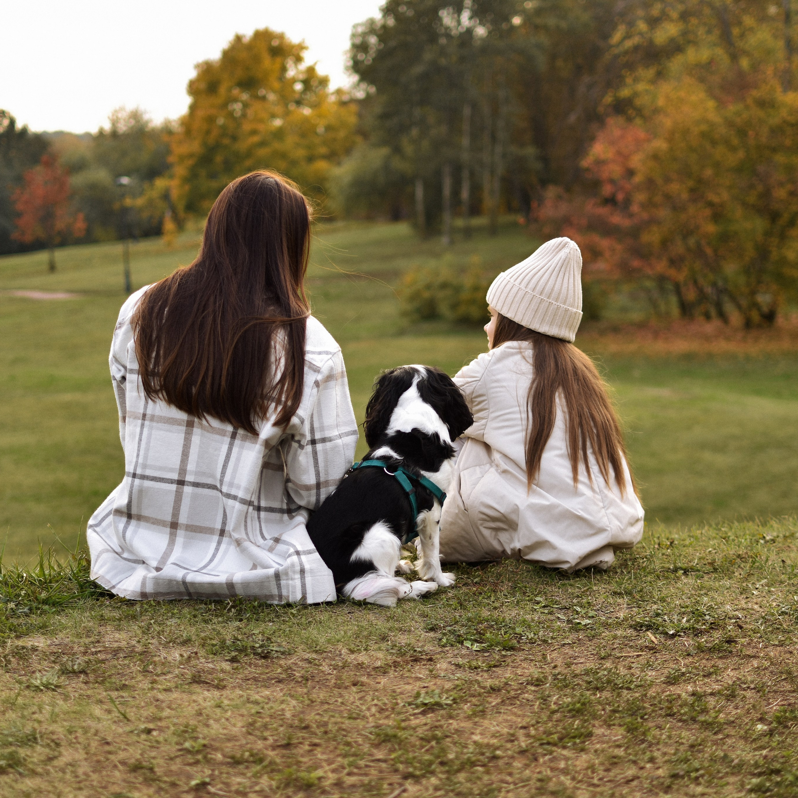 Молли, Кристина и Полина