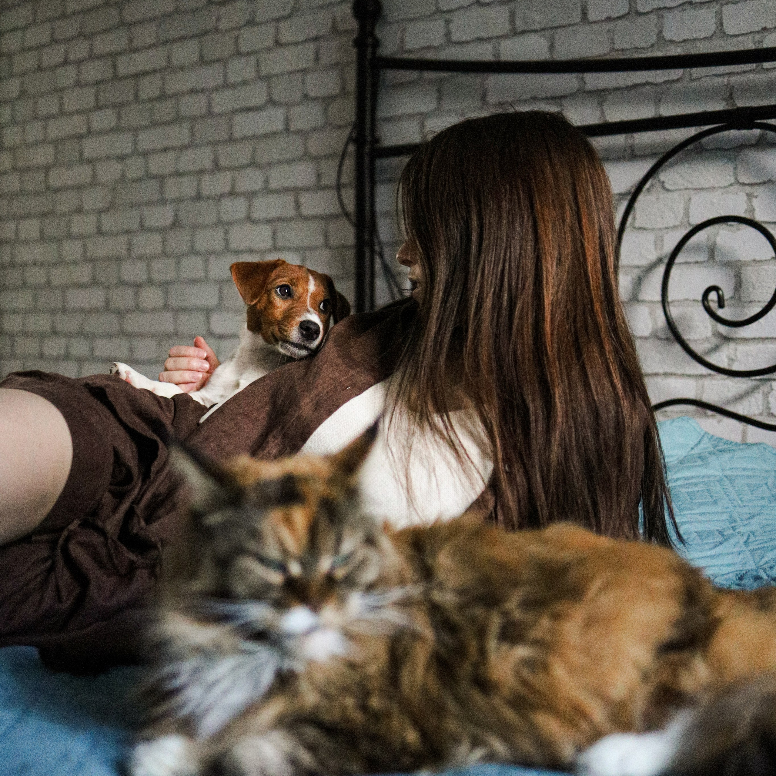 Домашняя история про Арни и&nbsp;его друзей