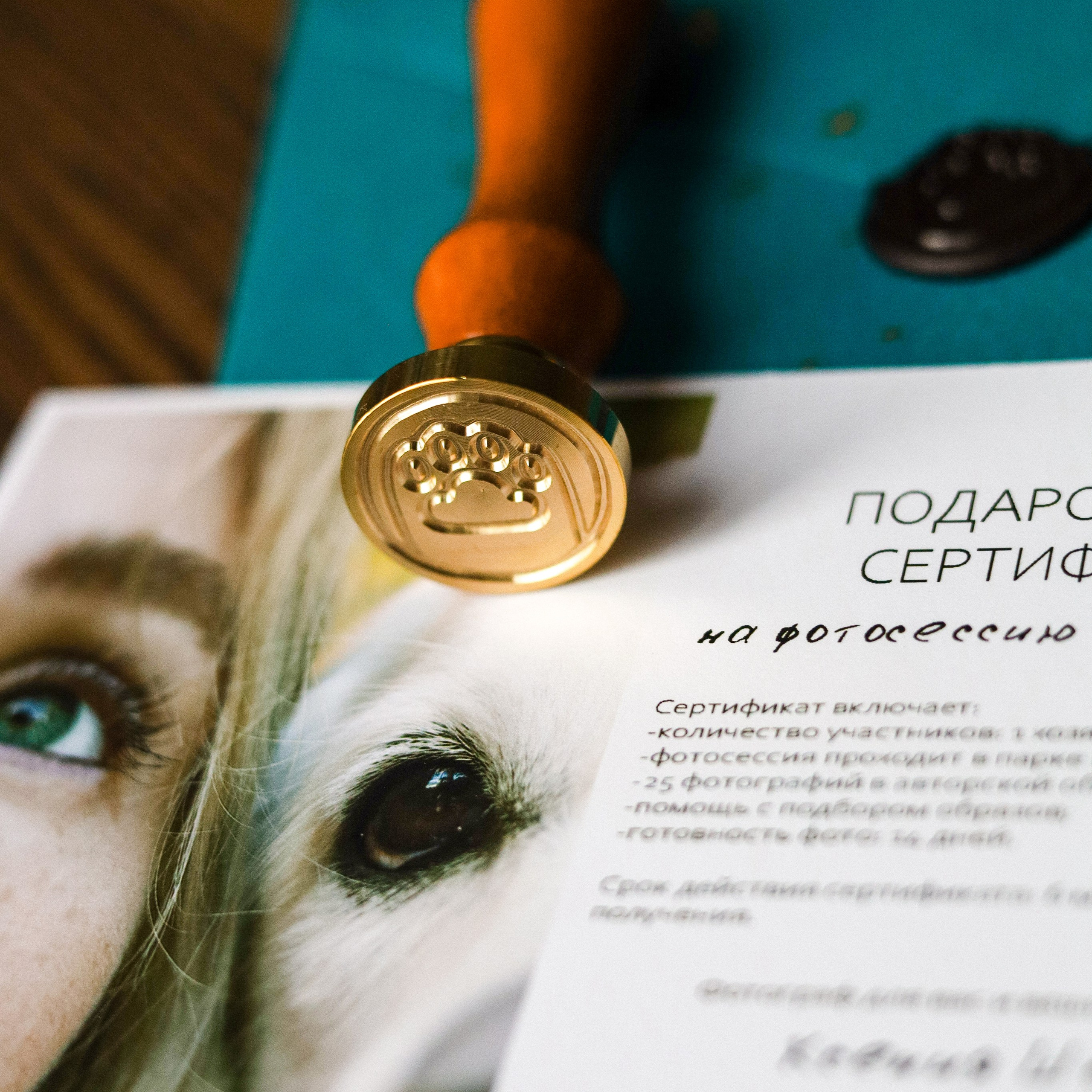 Подарочный сертификат. Фотограф-анималист Ксения Шевцова|Москва