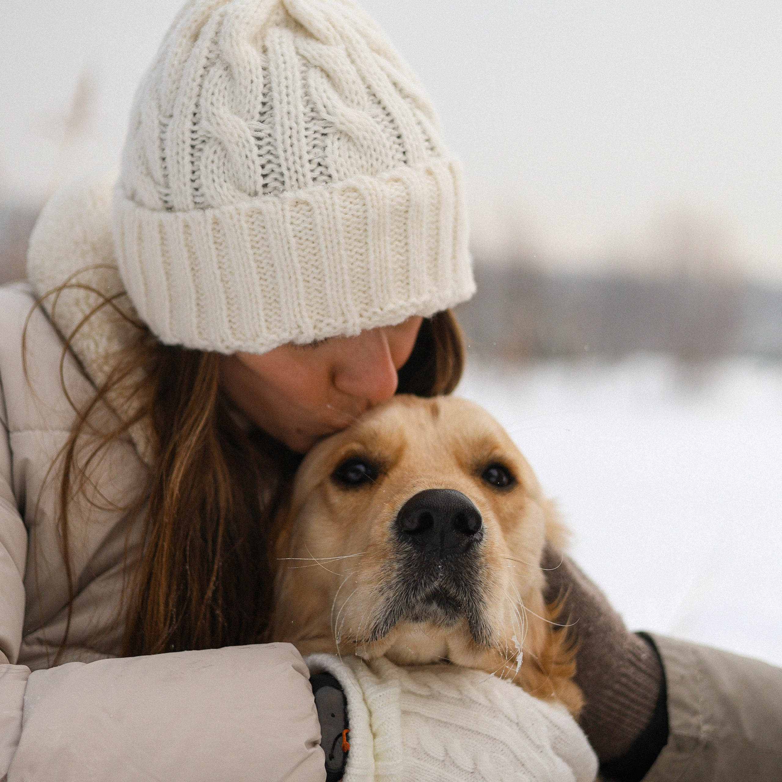 Отзывы. Фотограф-анималист Ксения Шевцова|Москва