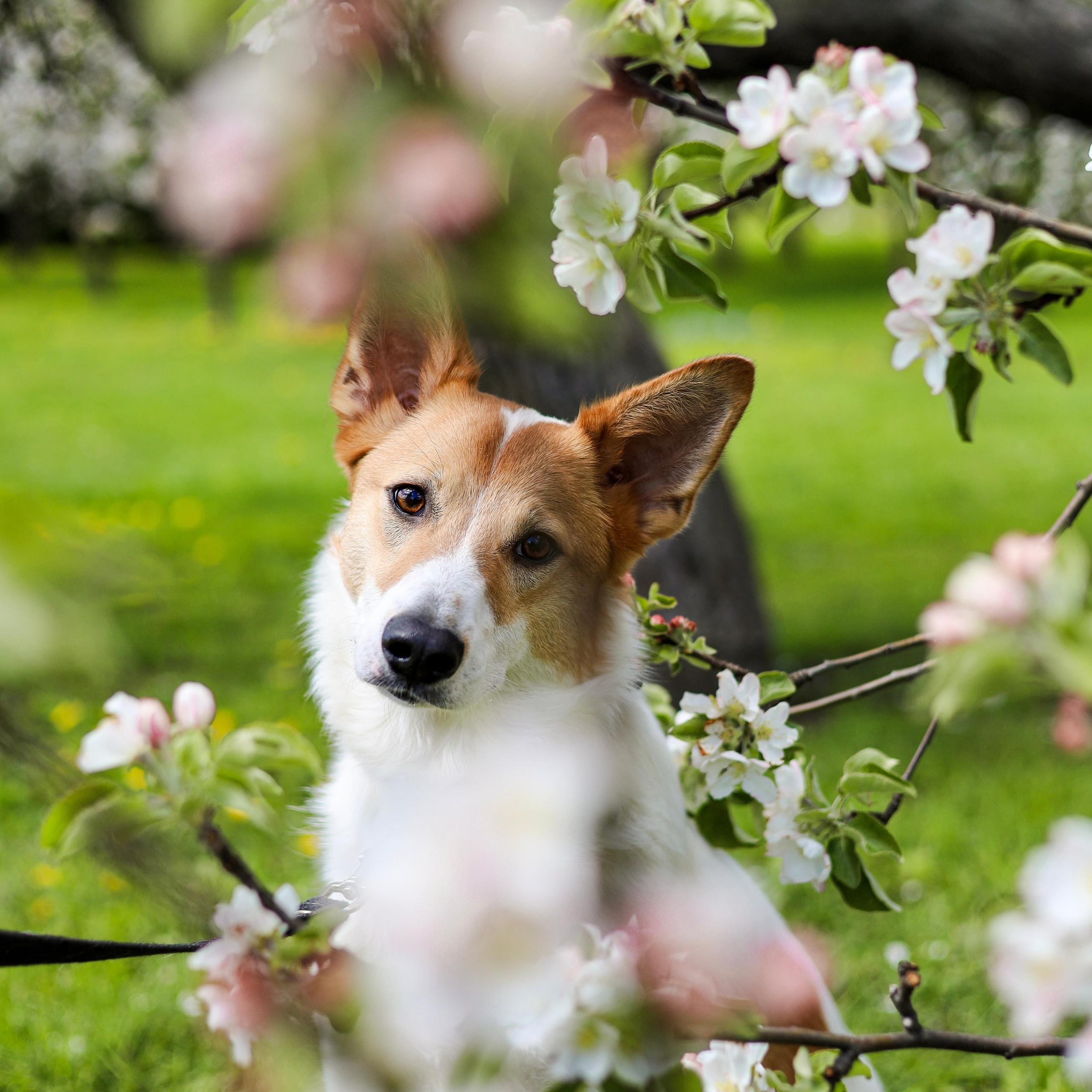 Лучик и Аня