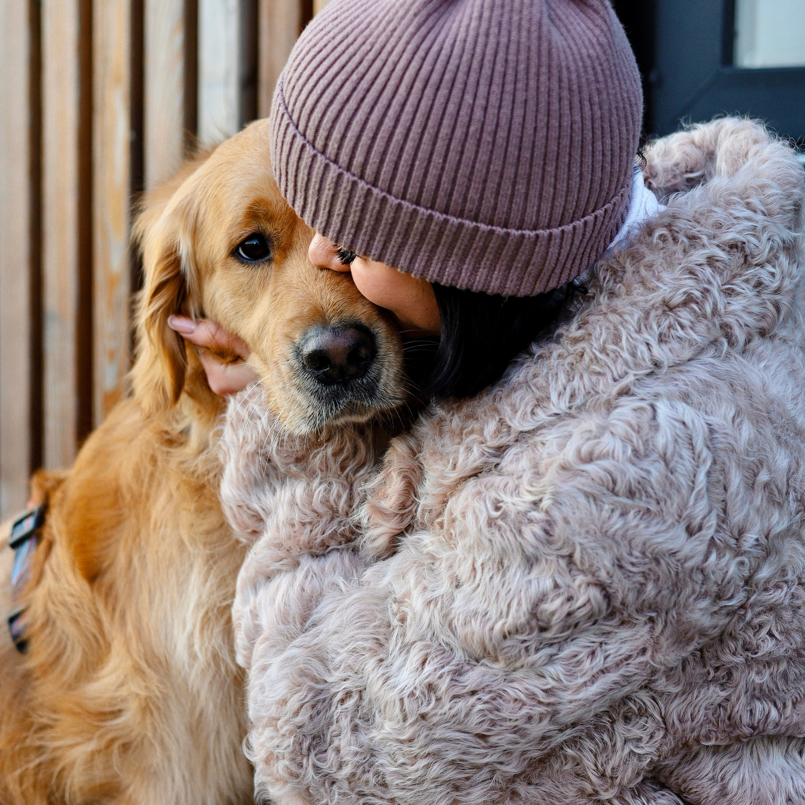 Отзывы. Фотограф-анималист Ксения Шевцова|Москва