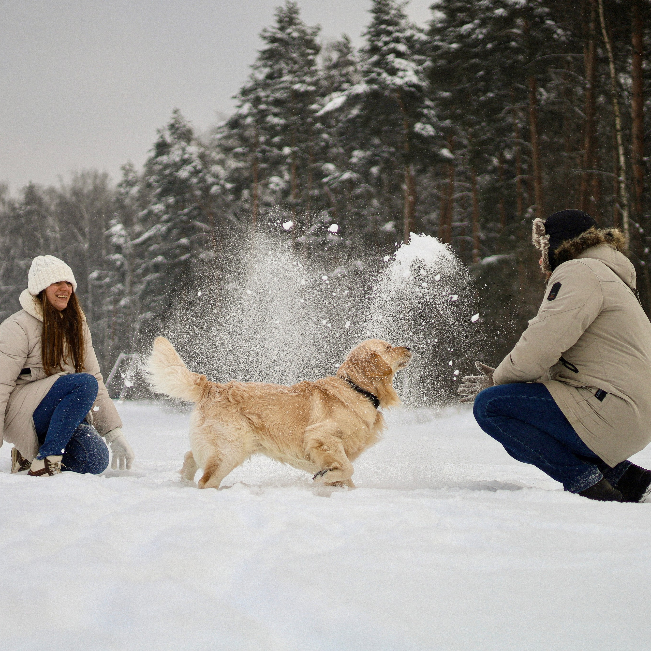 Стивен, Лена и Миша