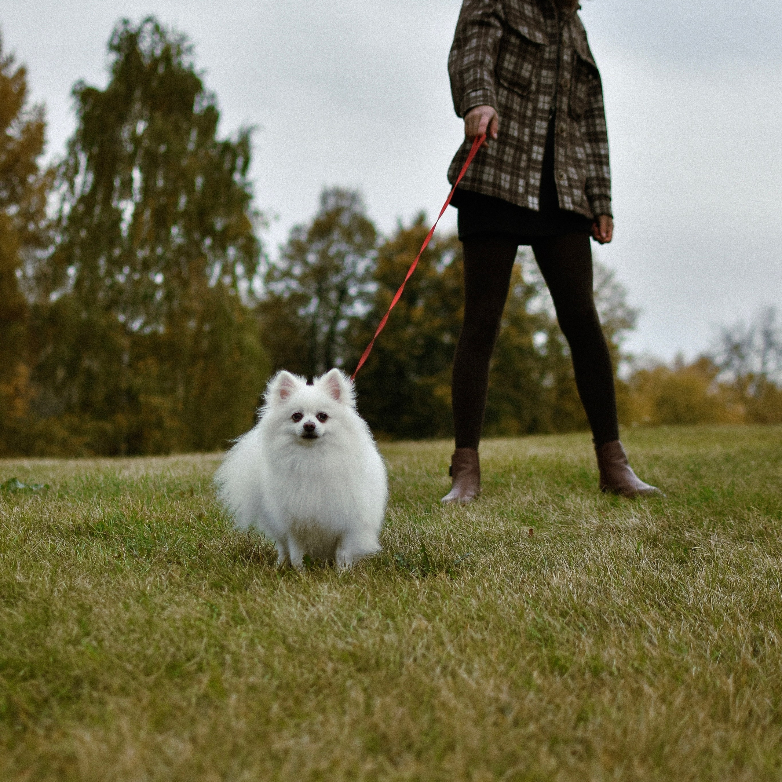 Отзывы. Фотограф-анималист Ксения Шевцова|Москва