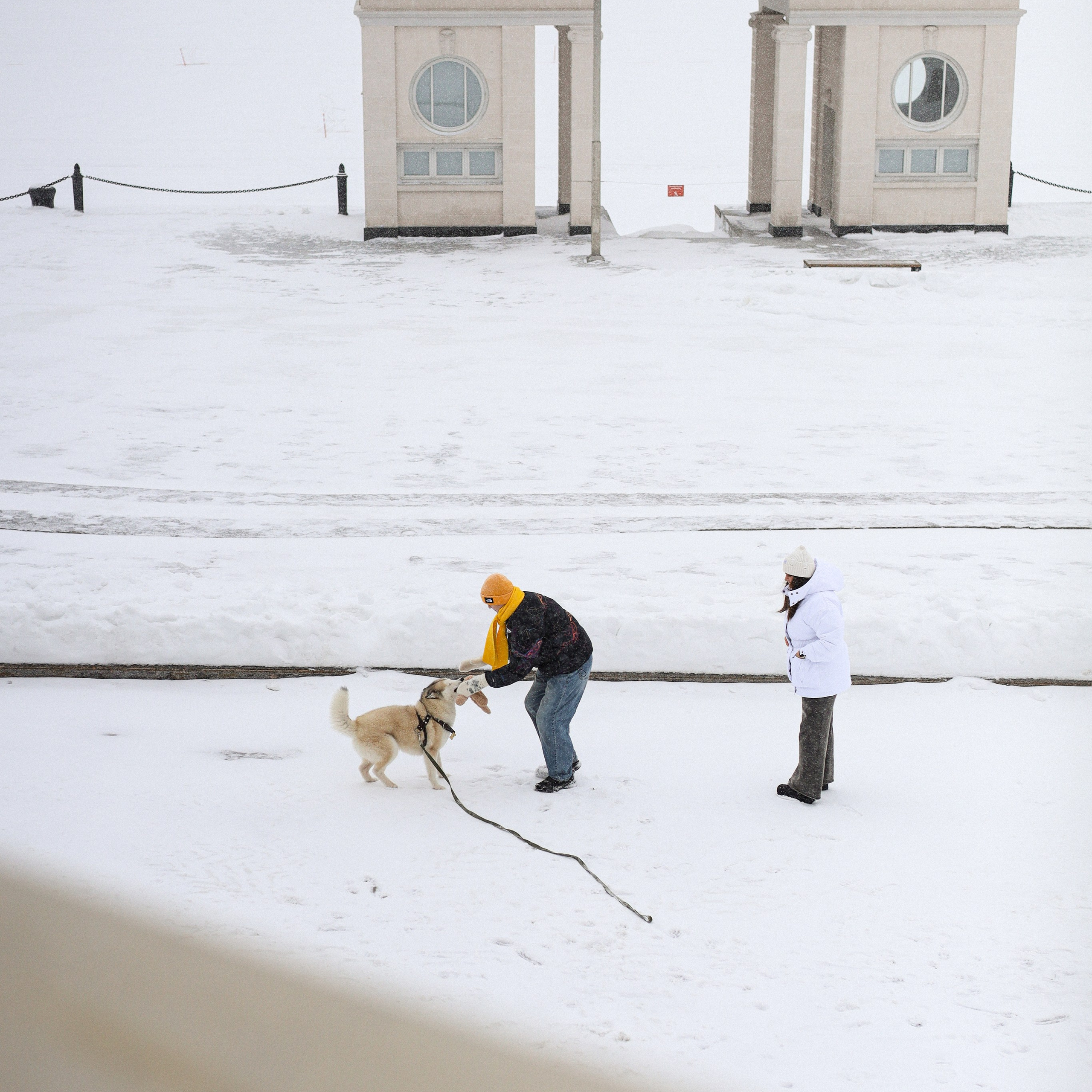 Мила, Лиза и&nbsp;Матвей