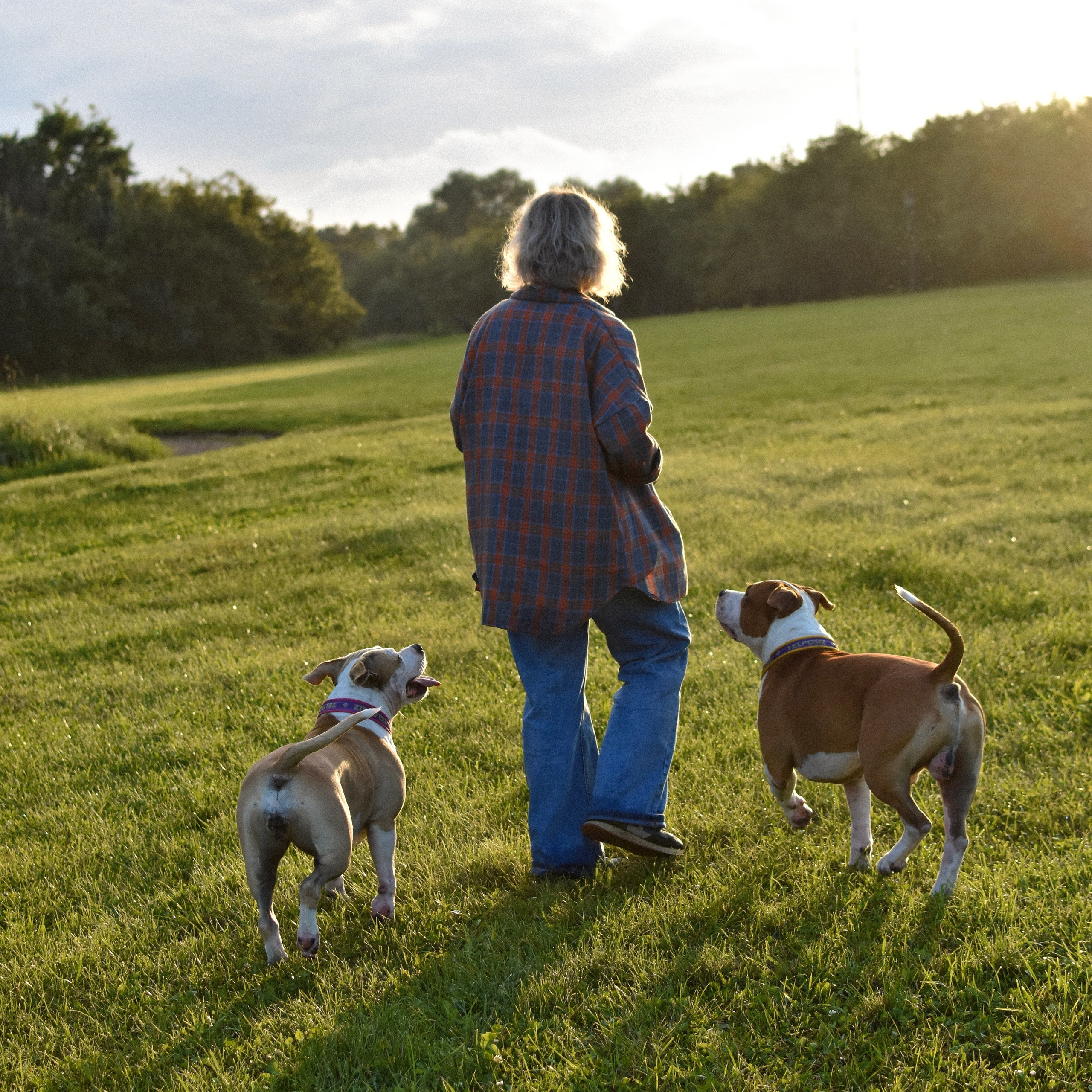 Стив, Стеша и Маша