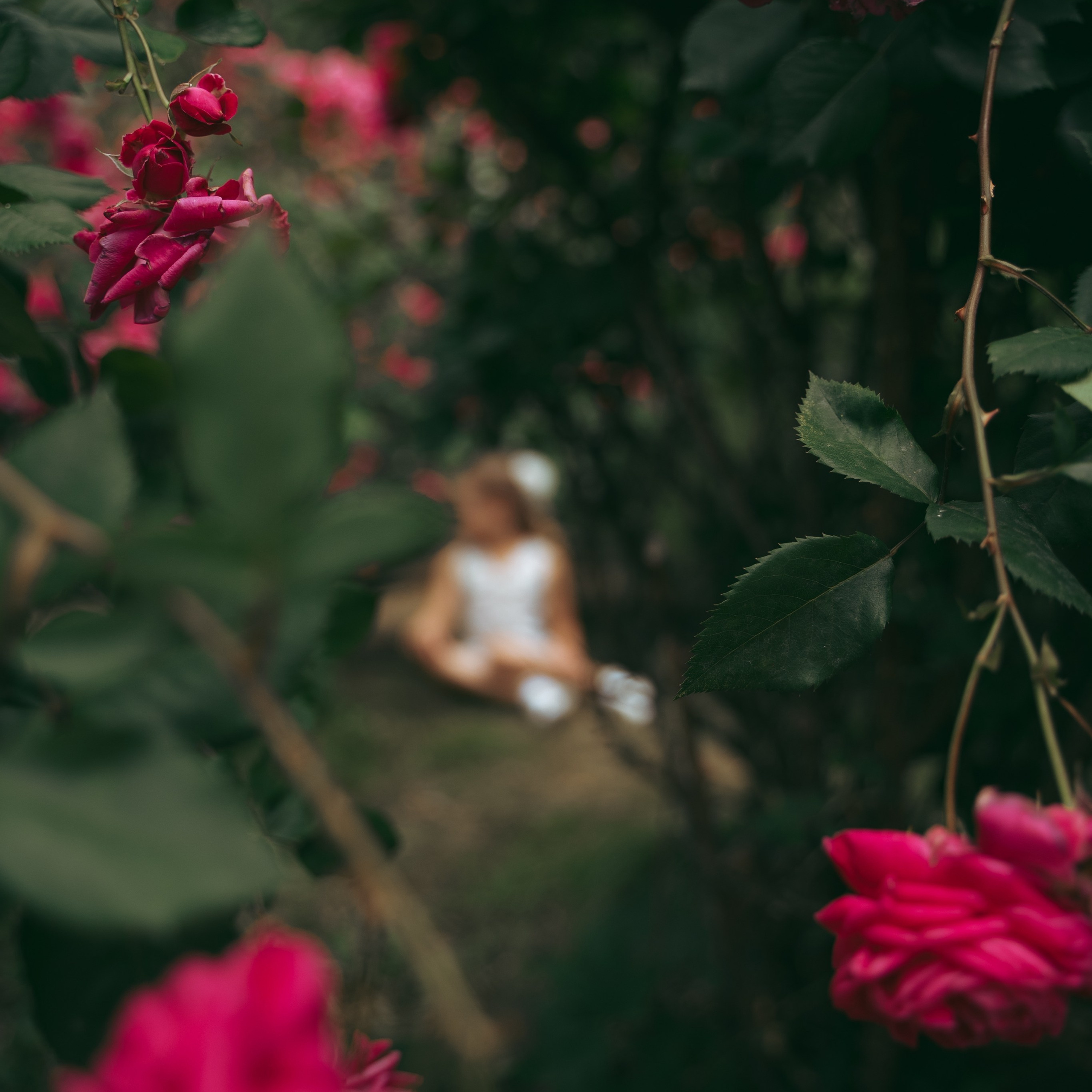 Семейные фотосесии. Фотограф в Воронеже Мария Зайчик