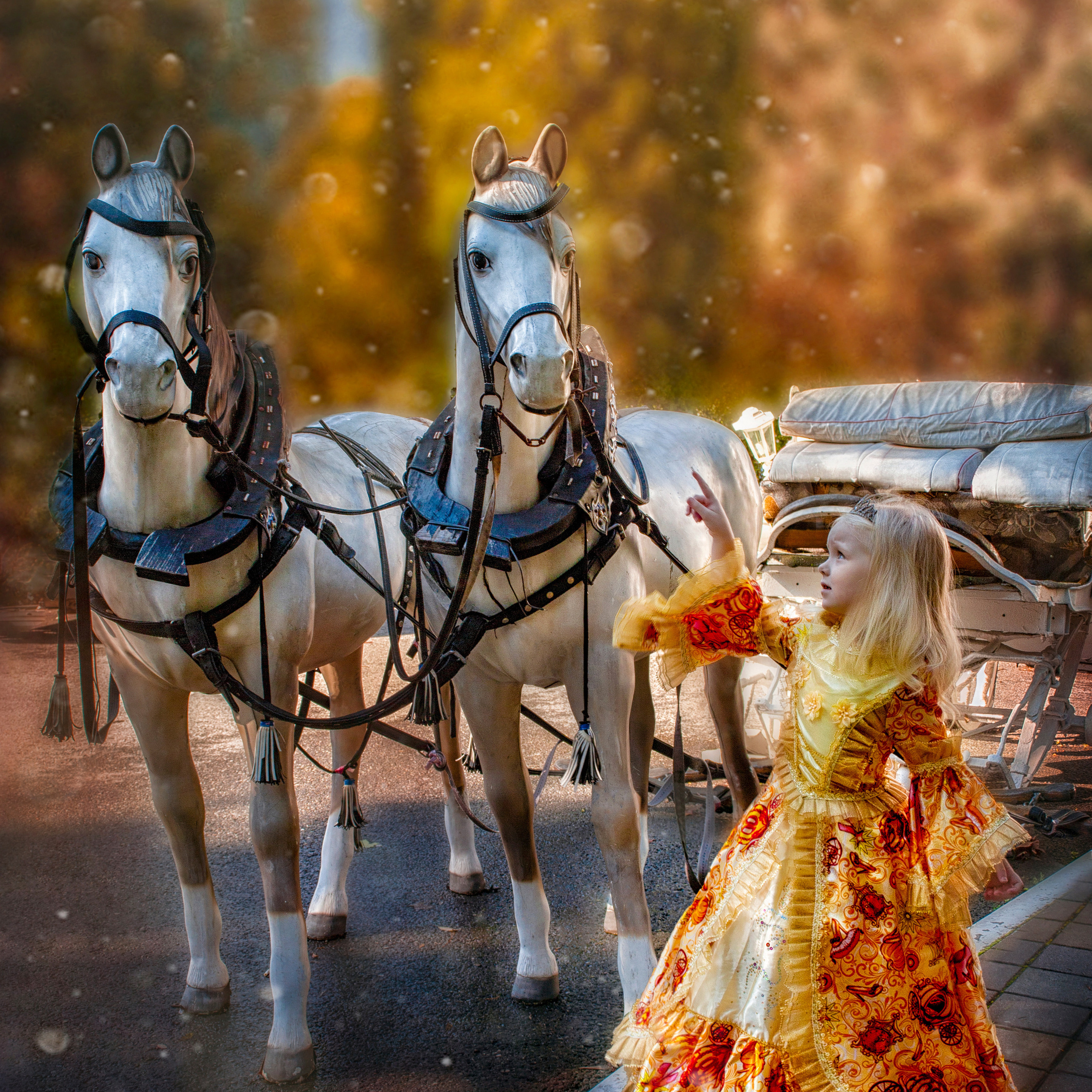 ЗОЛУШКА. Главная