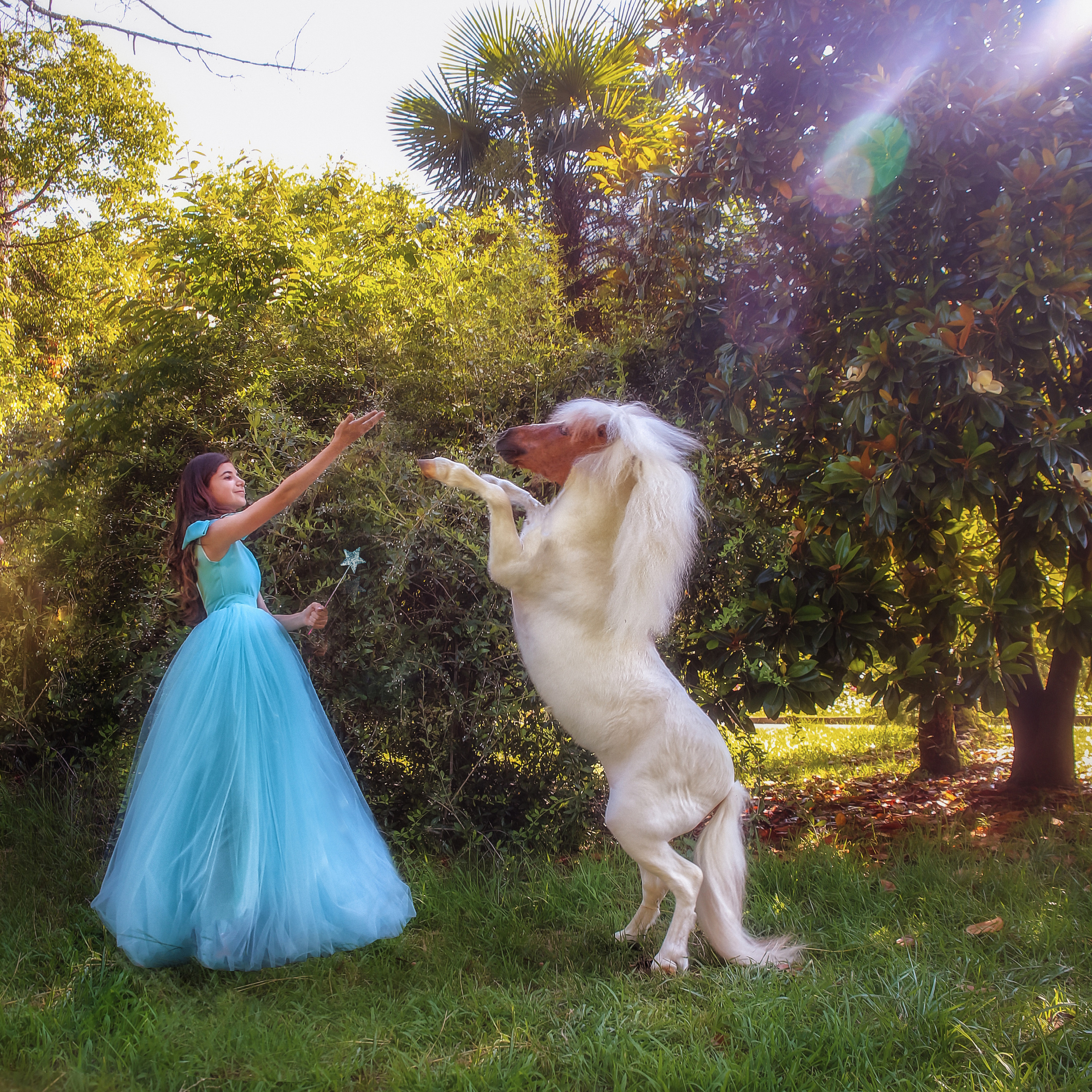 ВСТРЕЧА С ЕДИНОРОГОМ. Главная