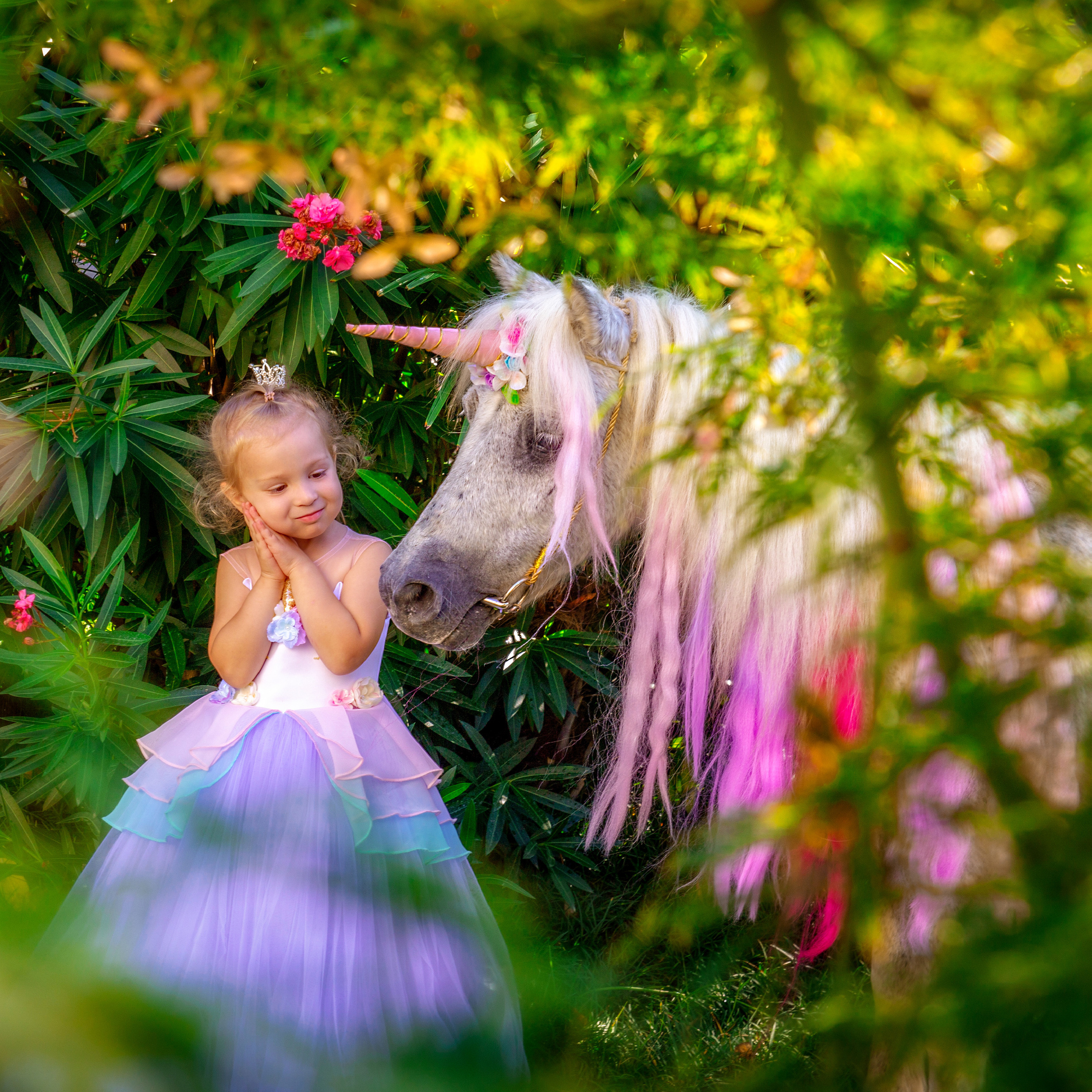 ВСТРЕЧА С ЕДИНОРОГОМ. Главная