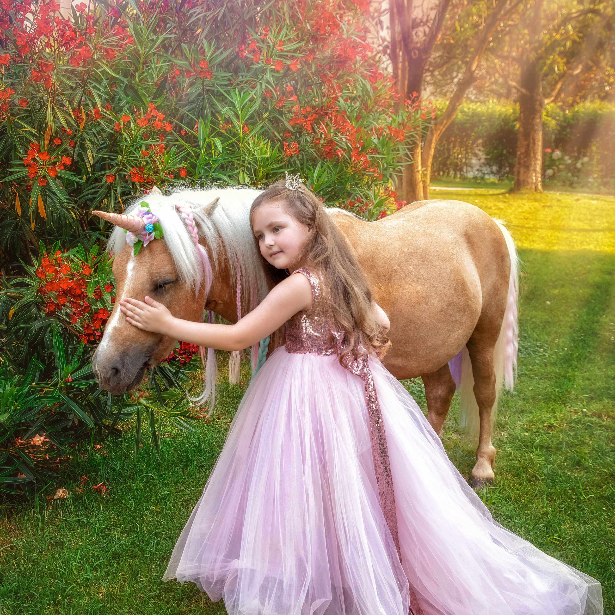 ВСТРЕЧА С ЕДИНОРОГОМ. Главная