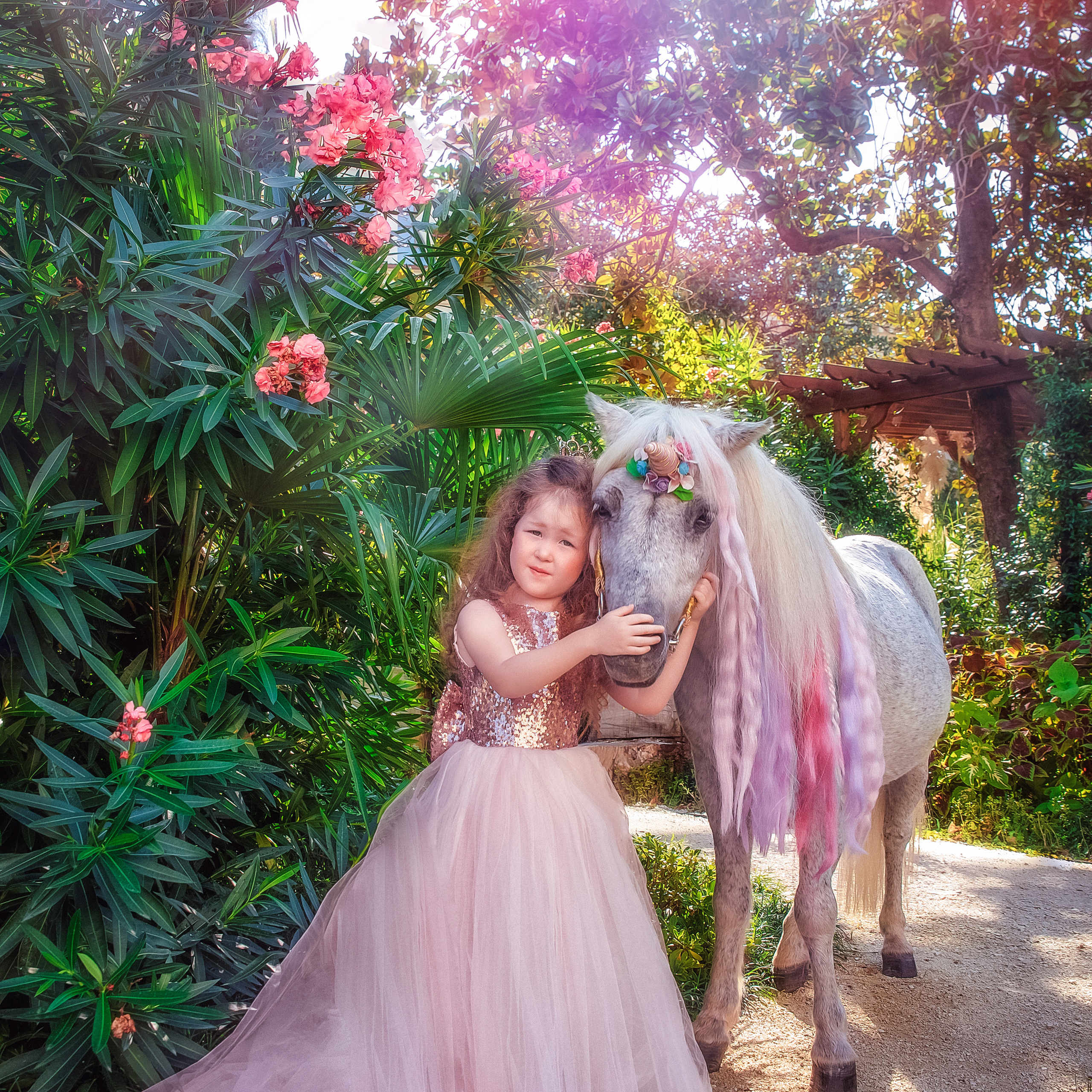 ВСТРЕЧА С ЕДИНОРОГОМ. Главная