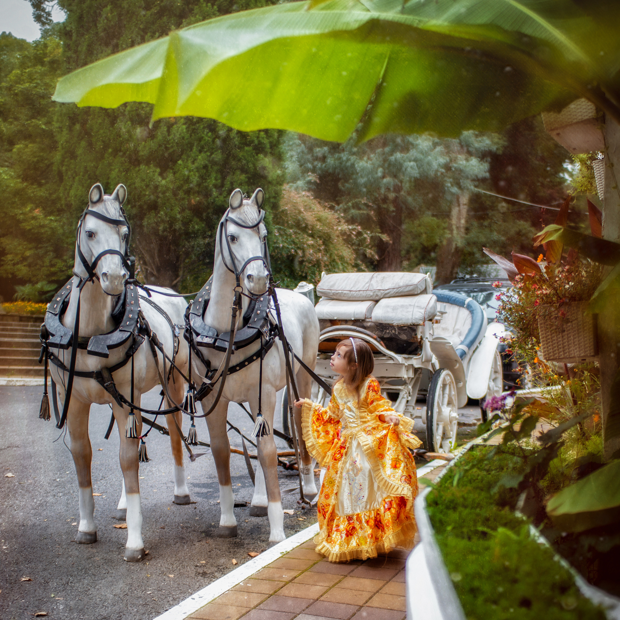 ЗОЛУШКА. Главная