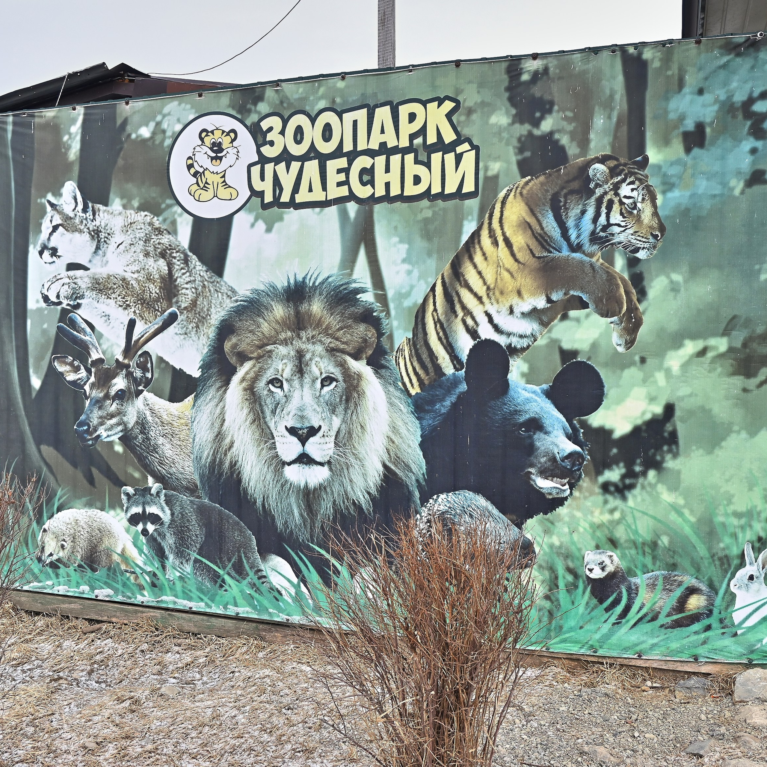 Отзывы о работе фотографа Игоря Ковалёва в г. Артеме (Приморский край). Фотограф Игорь Ковалёв в г. Артём (Приморский край)