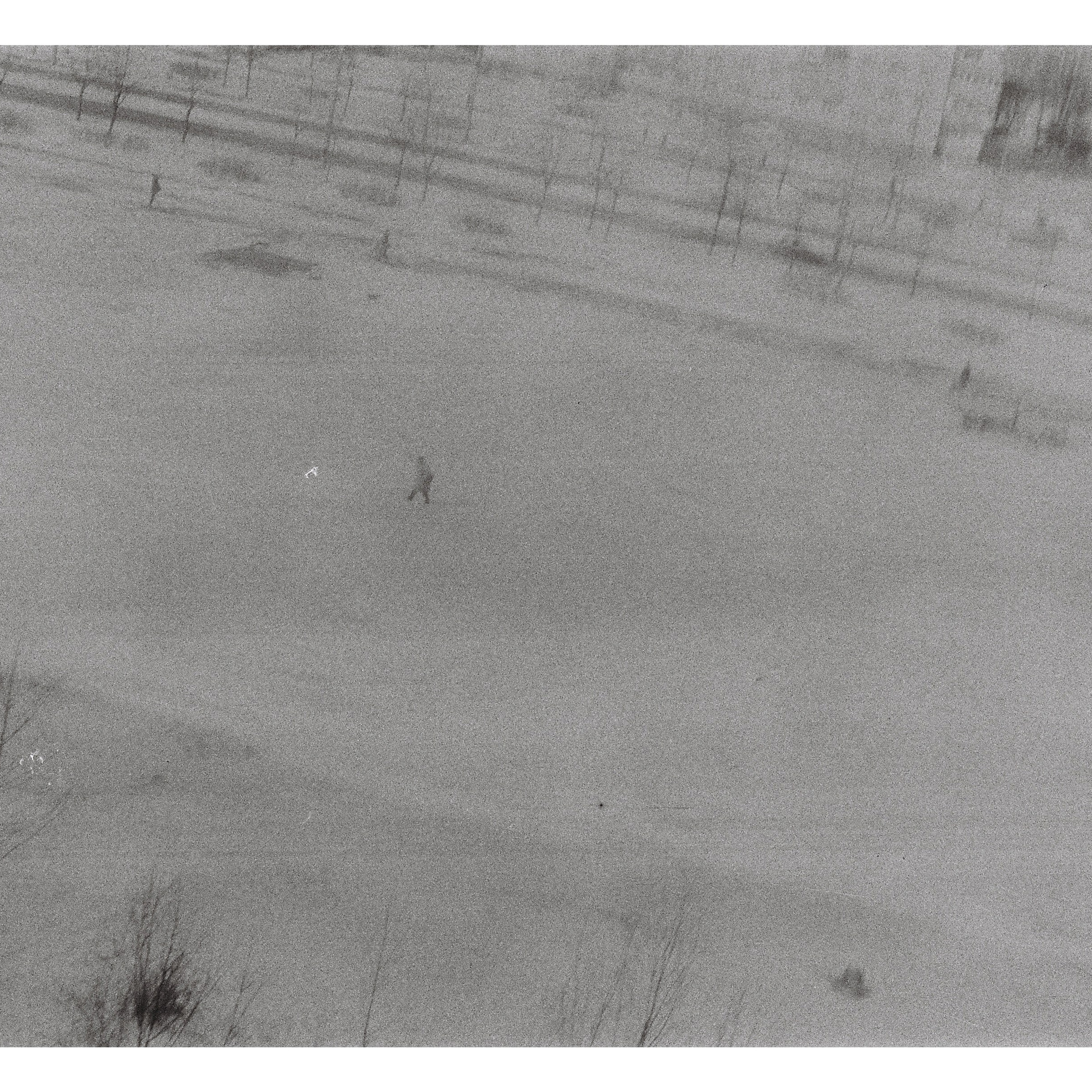 Прощай, Гражданка!