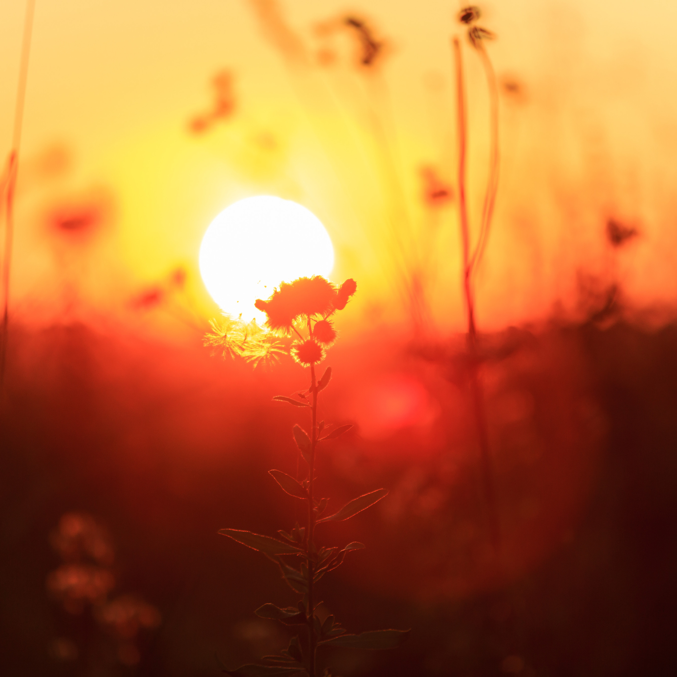 Моя история. Семейный и детский фотограф, фотограф новорожденных в Новокузнецке Ири