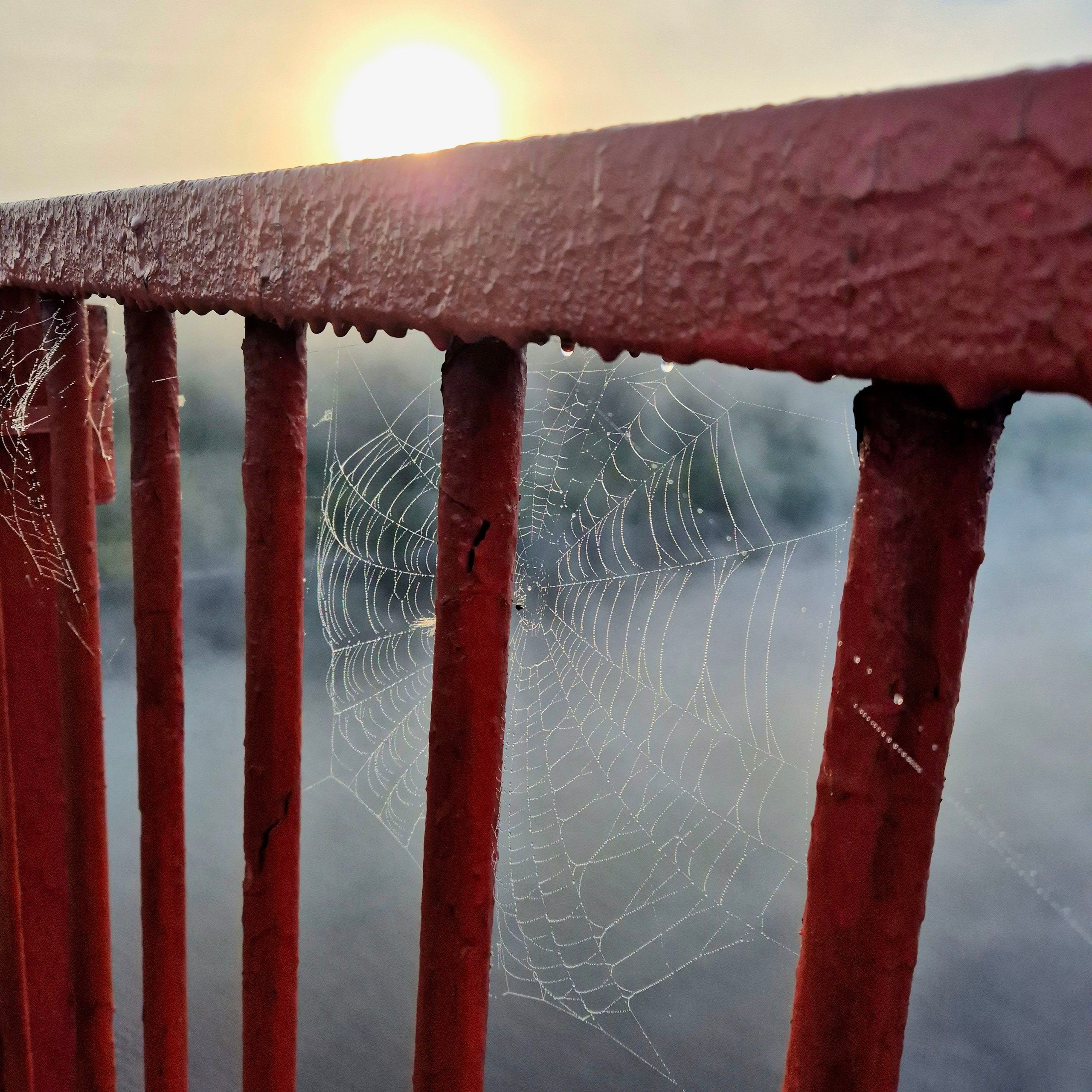 Walk & Fly with Batay