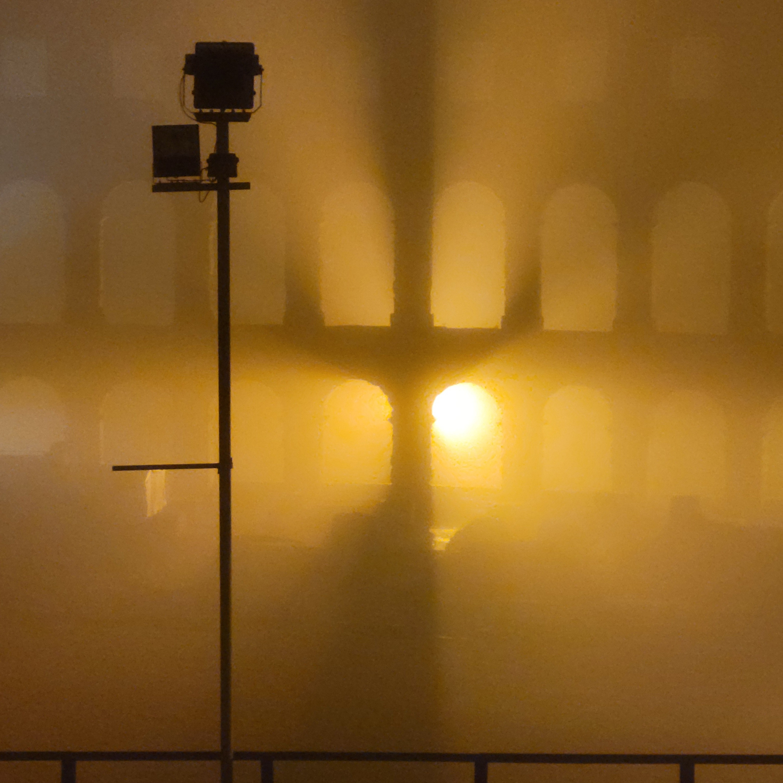 Walk & Fly with Batay