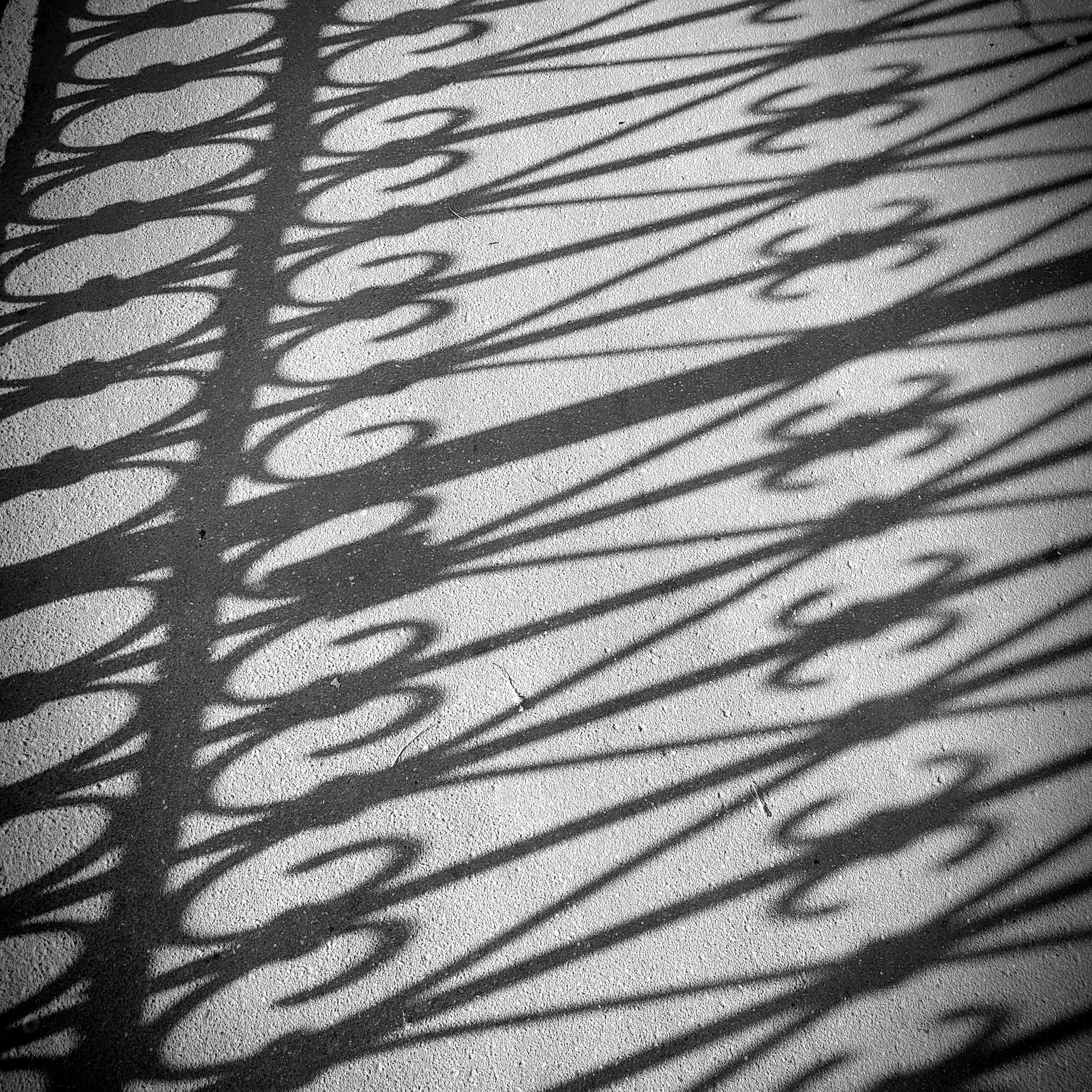 Walk & Fly with Batay