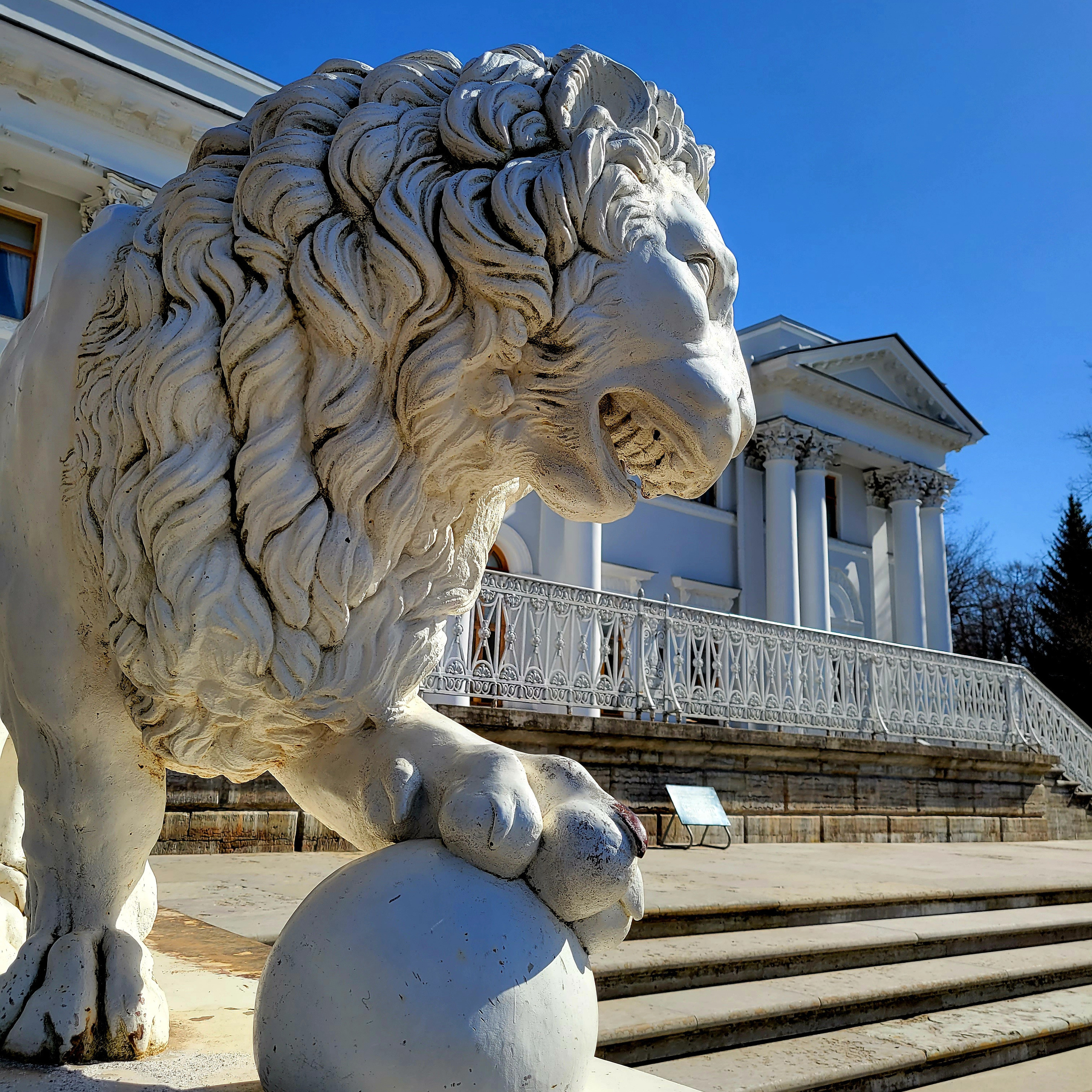 Walk & Fly with Batay