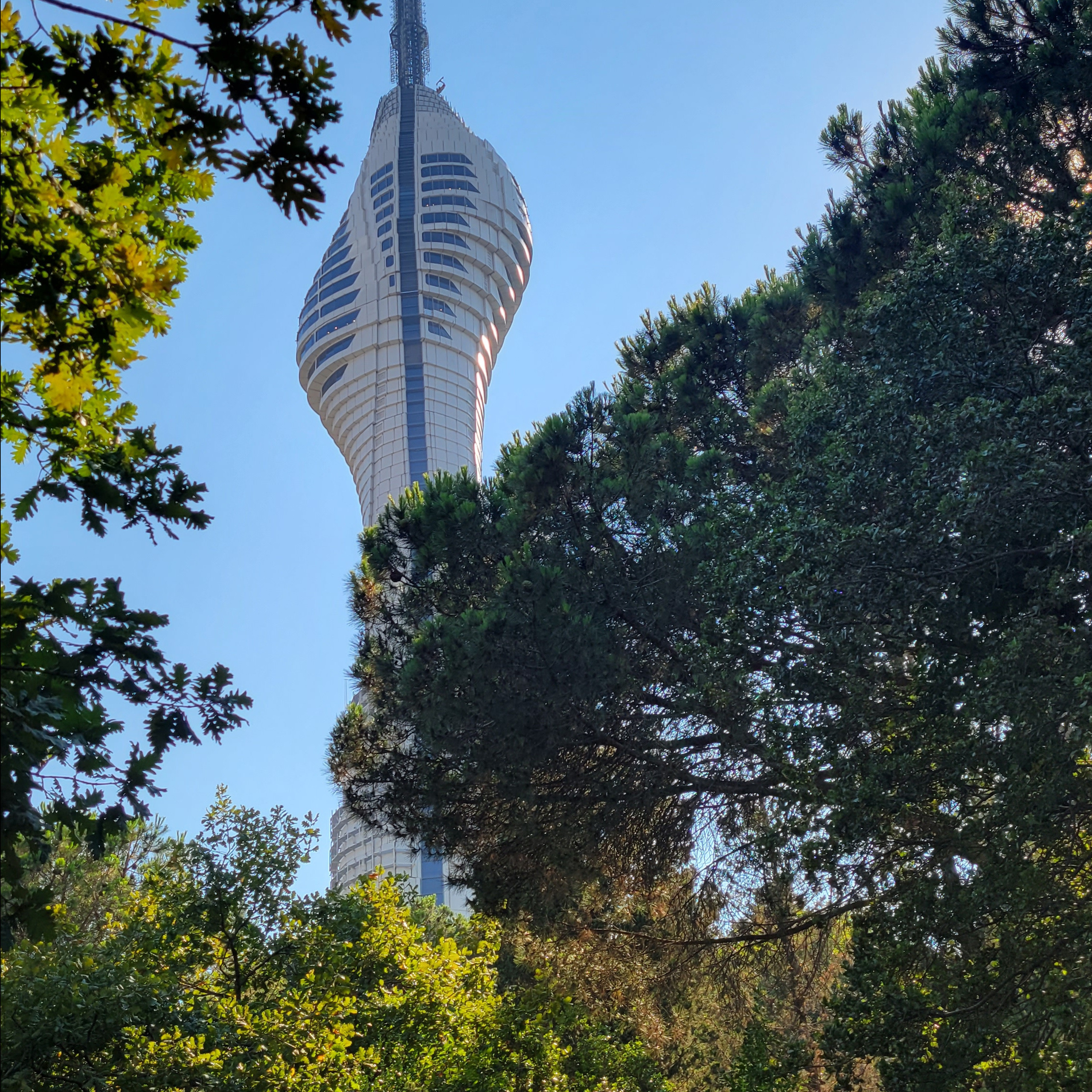 Walk & Fly with Batay