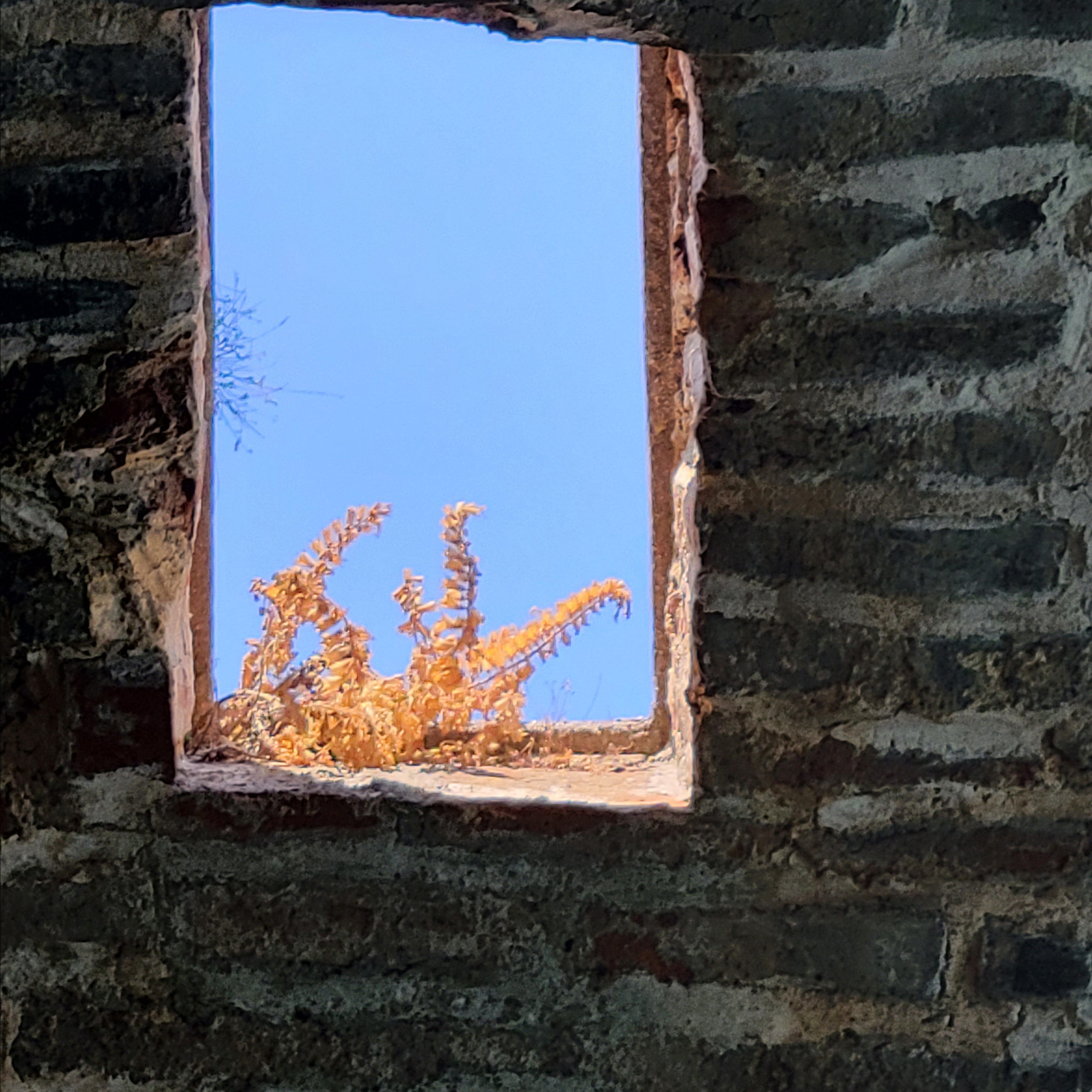 Walk & Fly with Batay