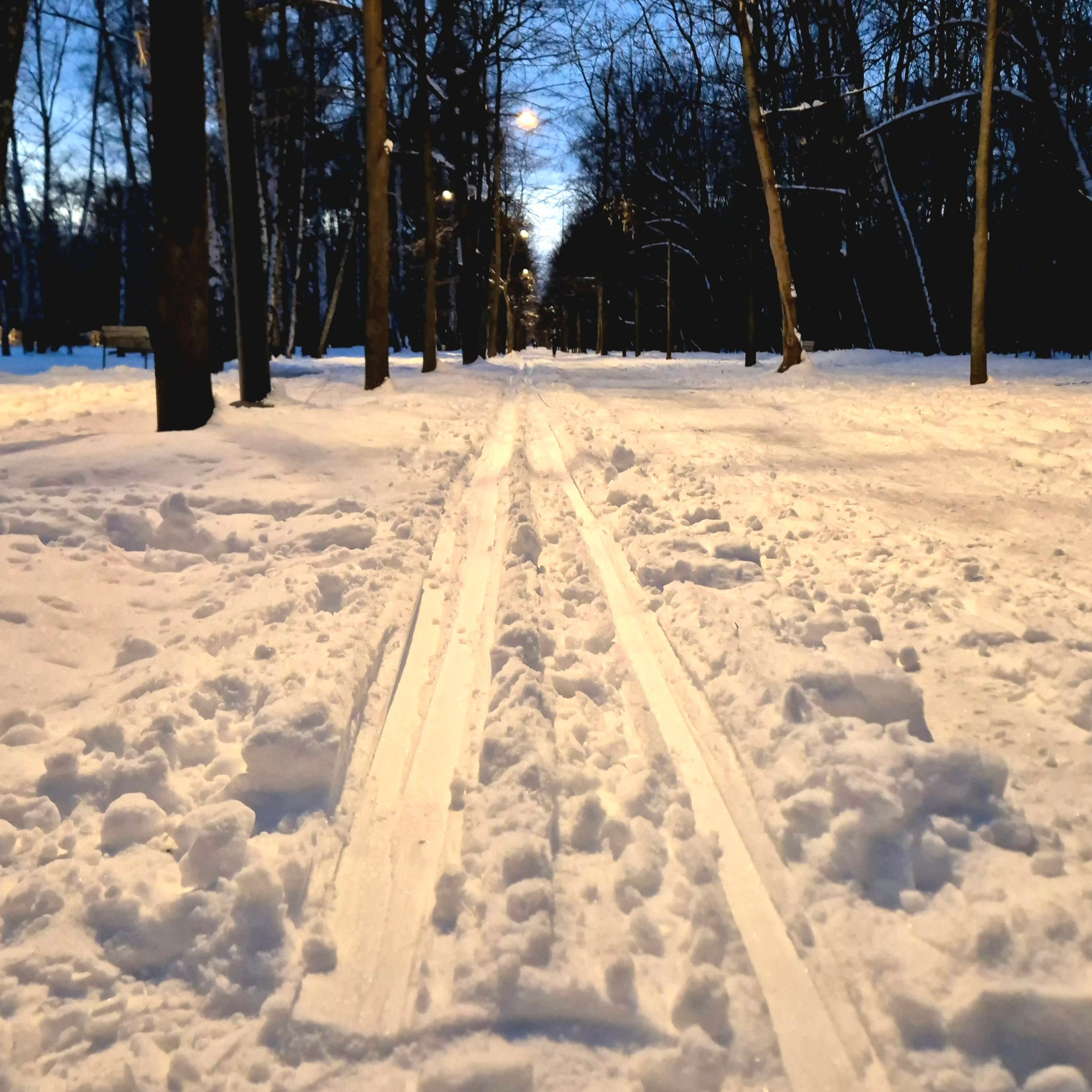 Walk & Fly with Batay