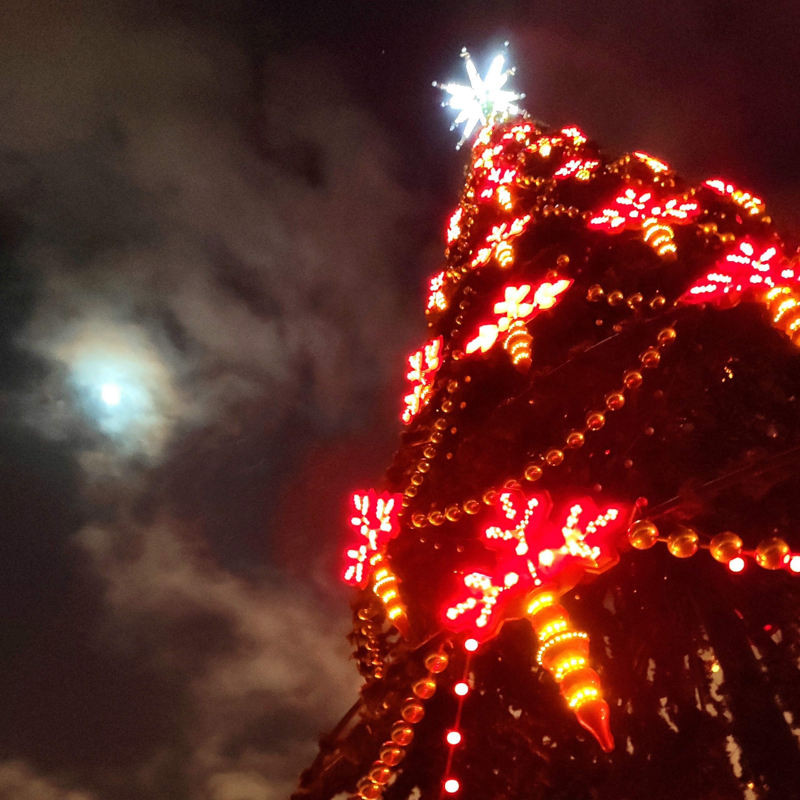 Walk & Fly with Batay