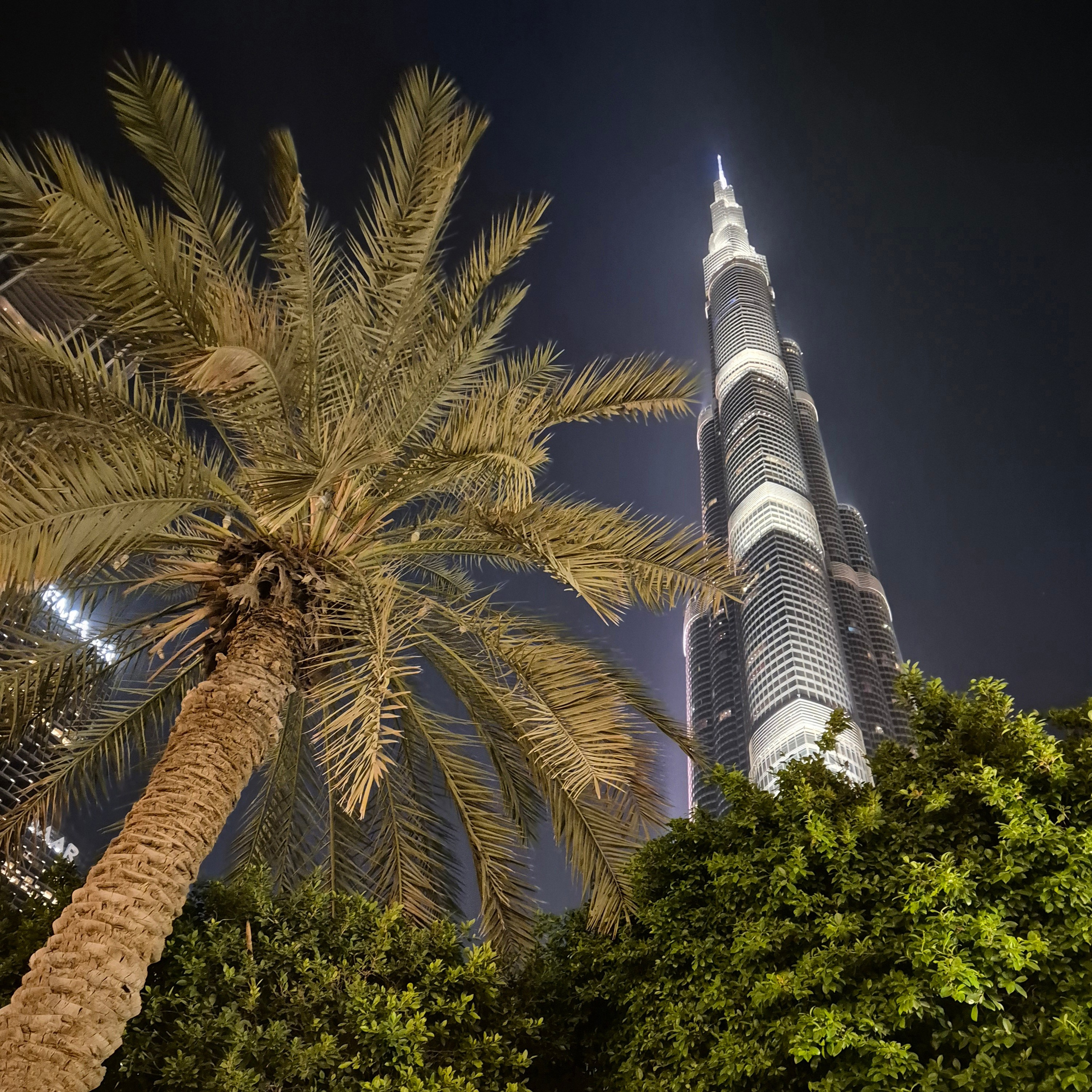 Walk & Fly with Batay