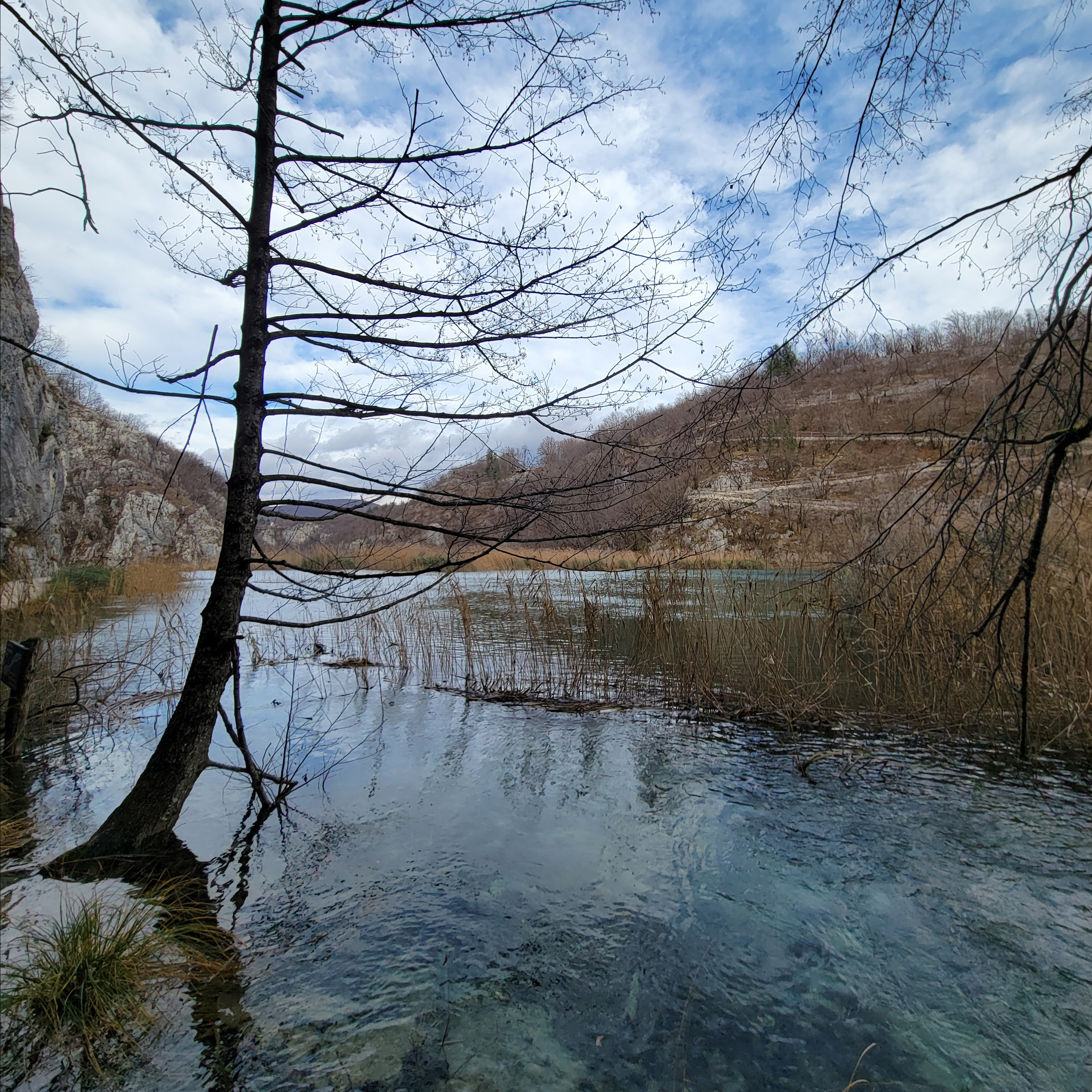 Walk & Fly with Batay