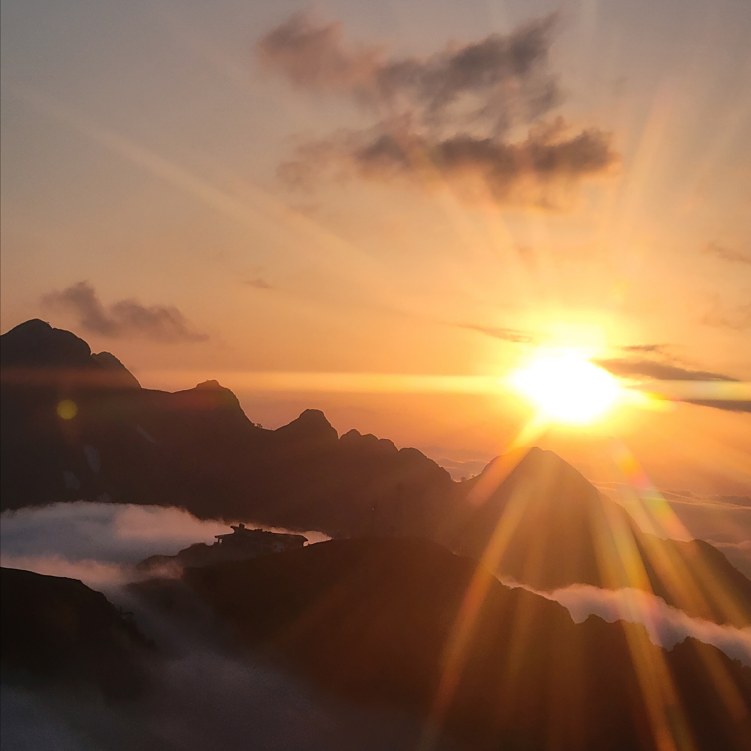 Walk & Fly with Batay