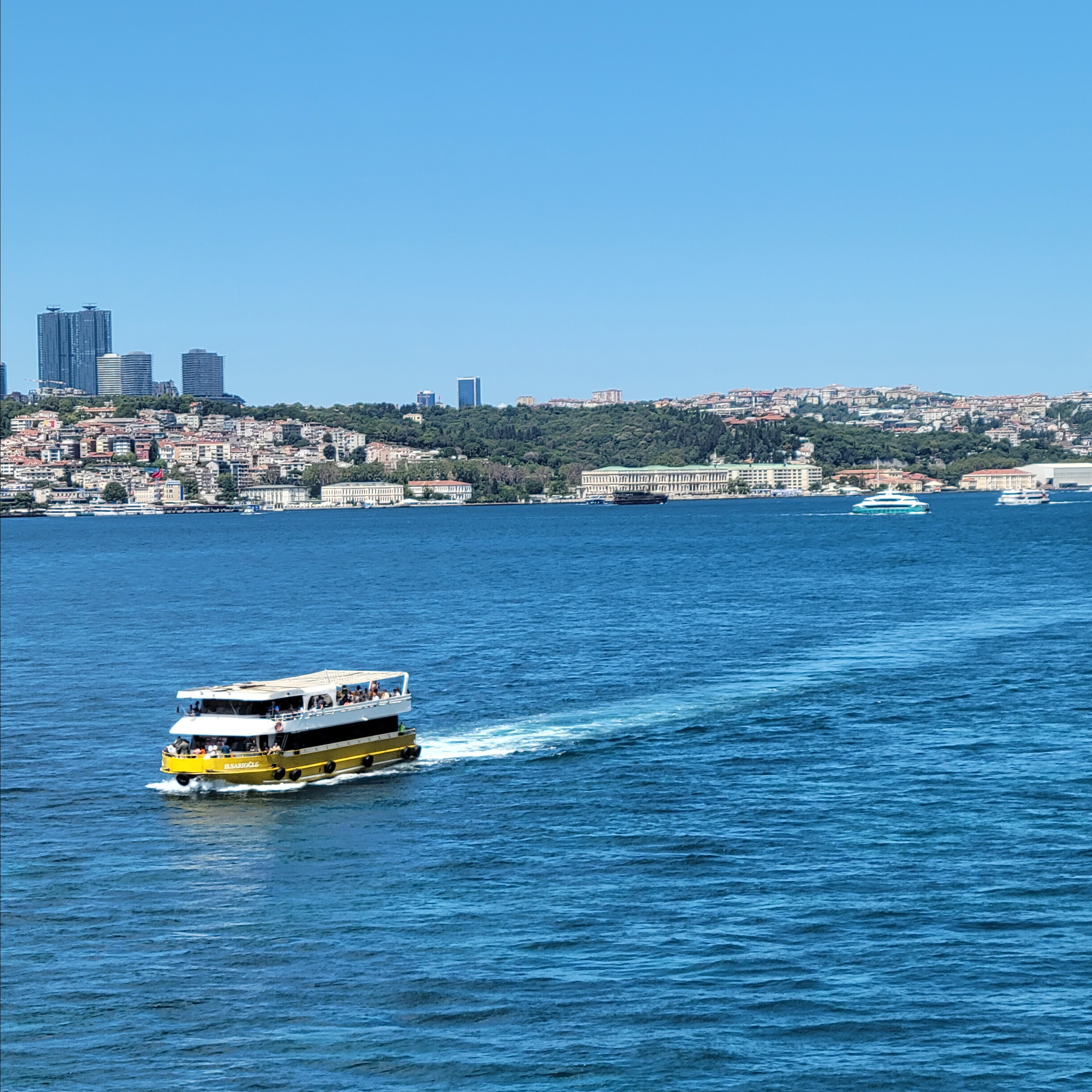 Walk & Fly with Batay