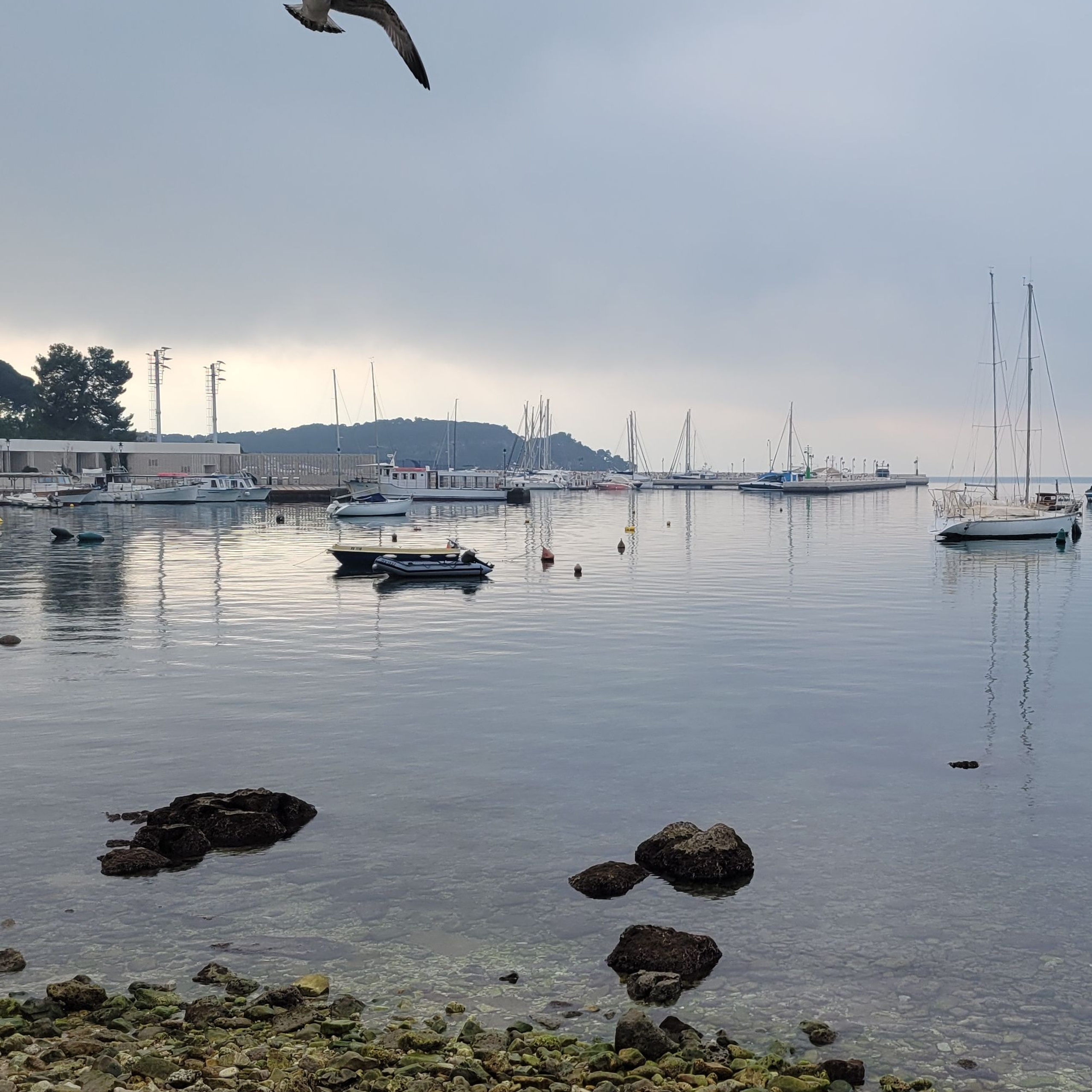 Walk & Fly with Batay