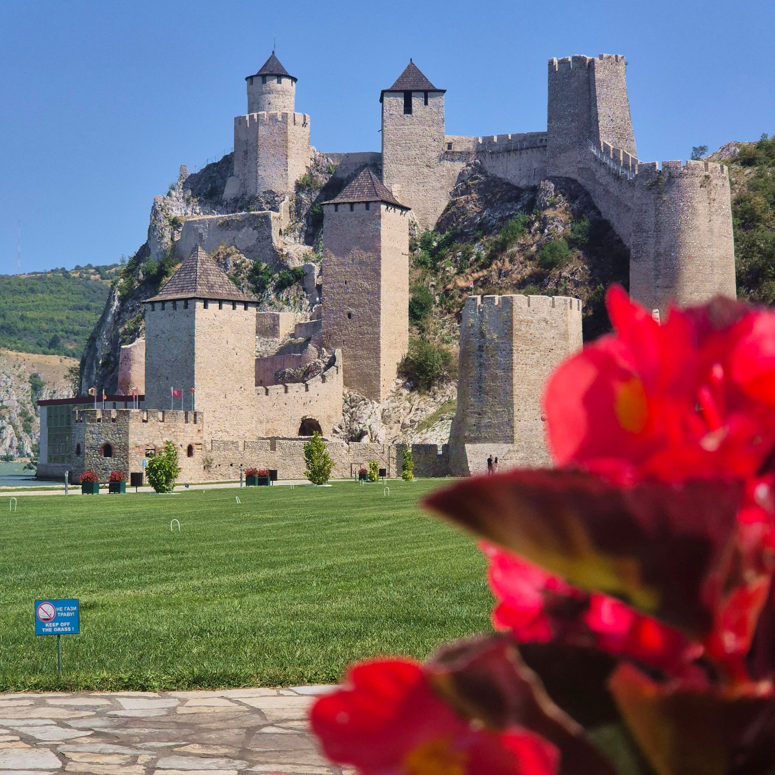 Walk & Fly with Batay