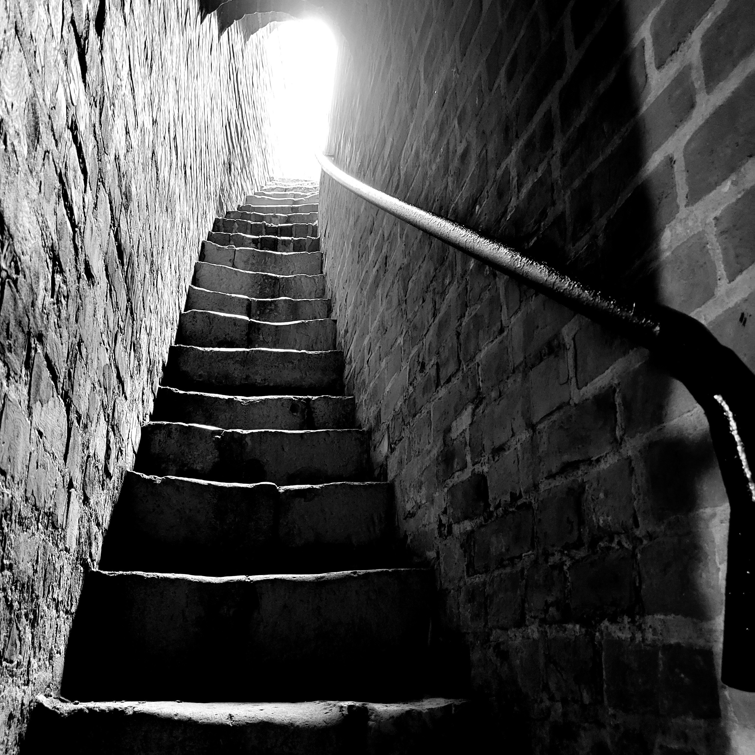 Walk & Fly with Batay