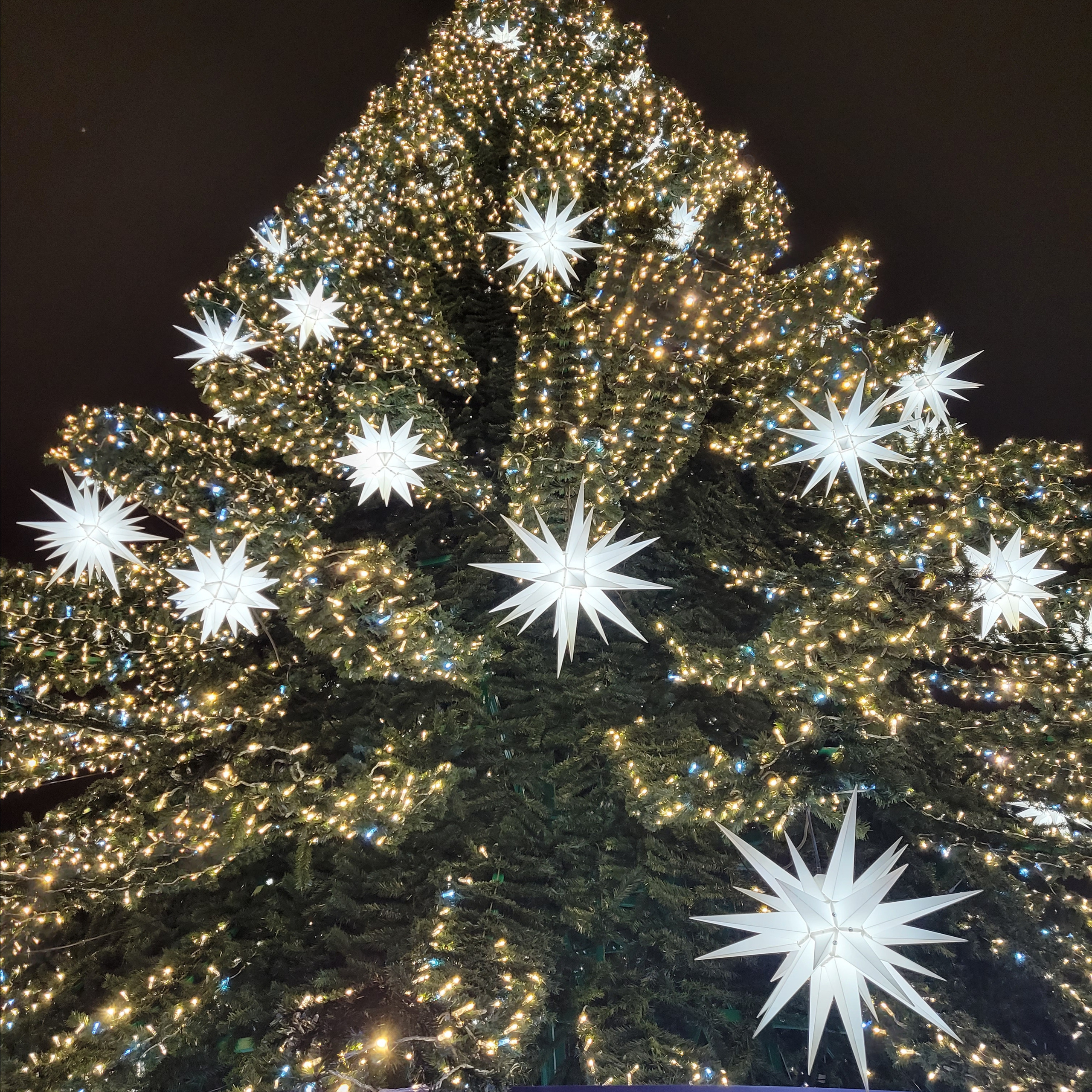 Walk & Fly with Batay