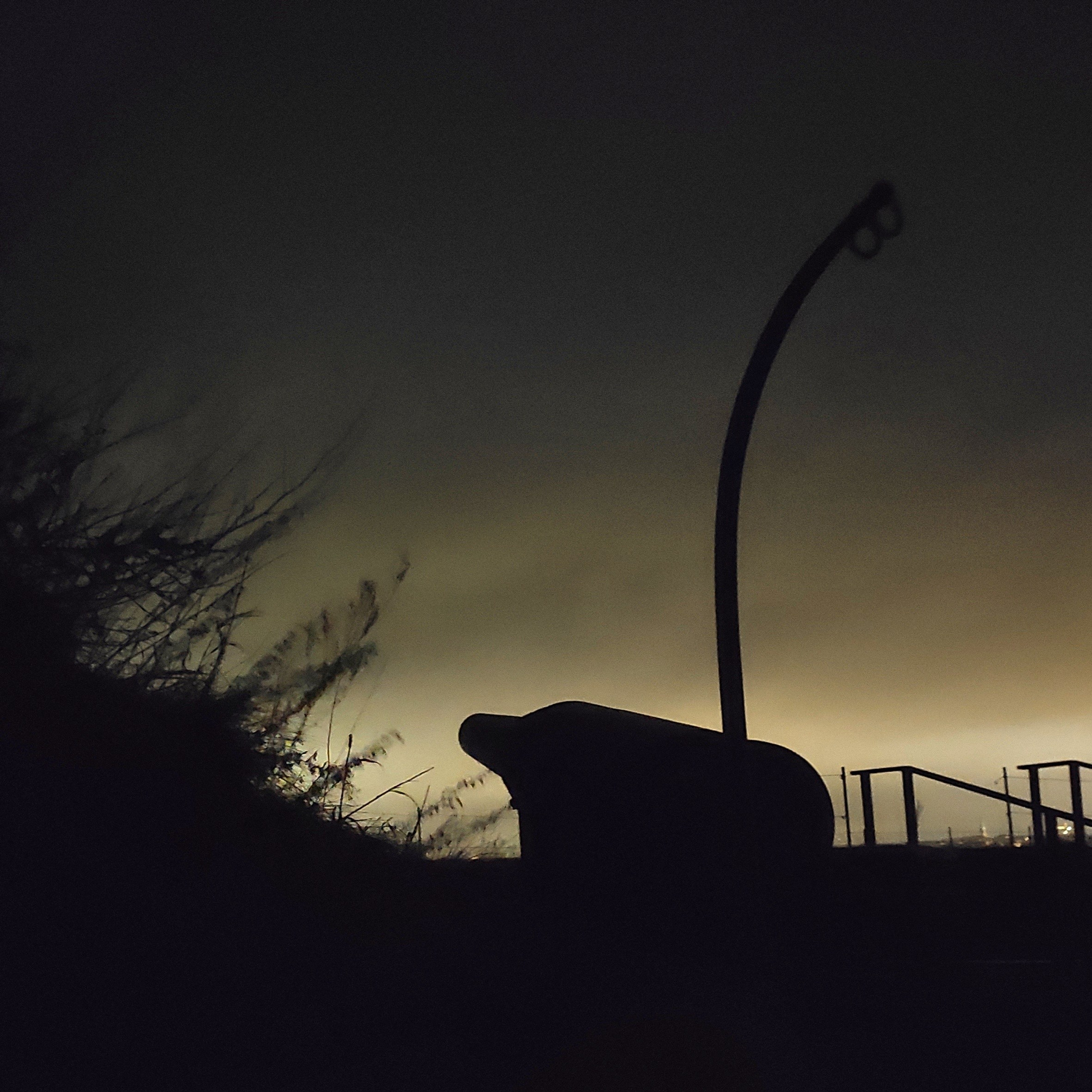 Walk & Fly with Batay