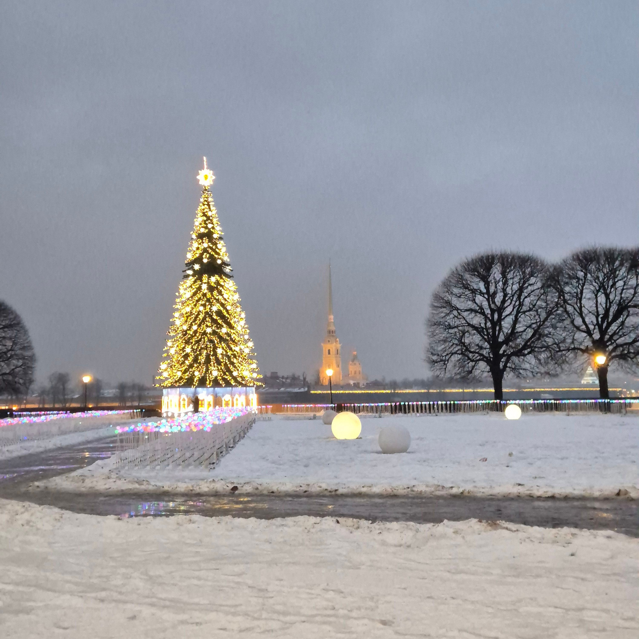 Walk & Fly with Batay