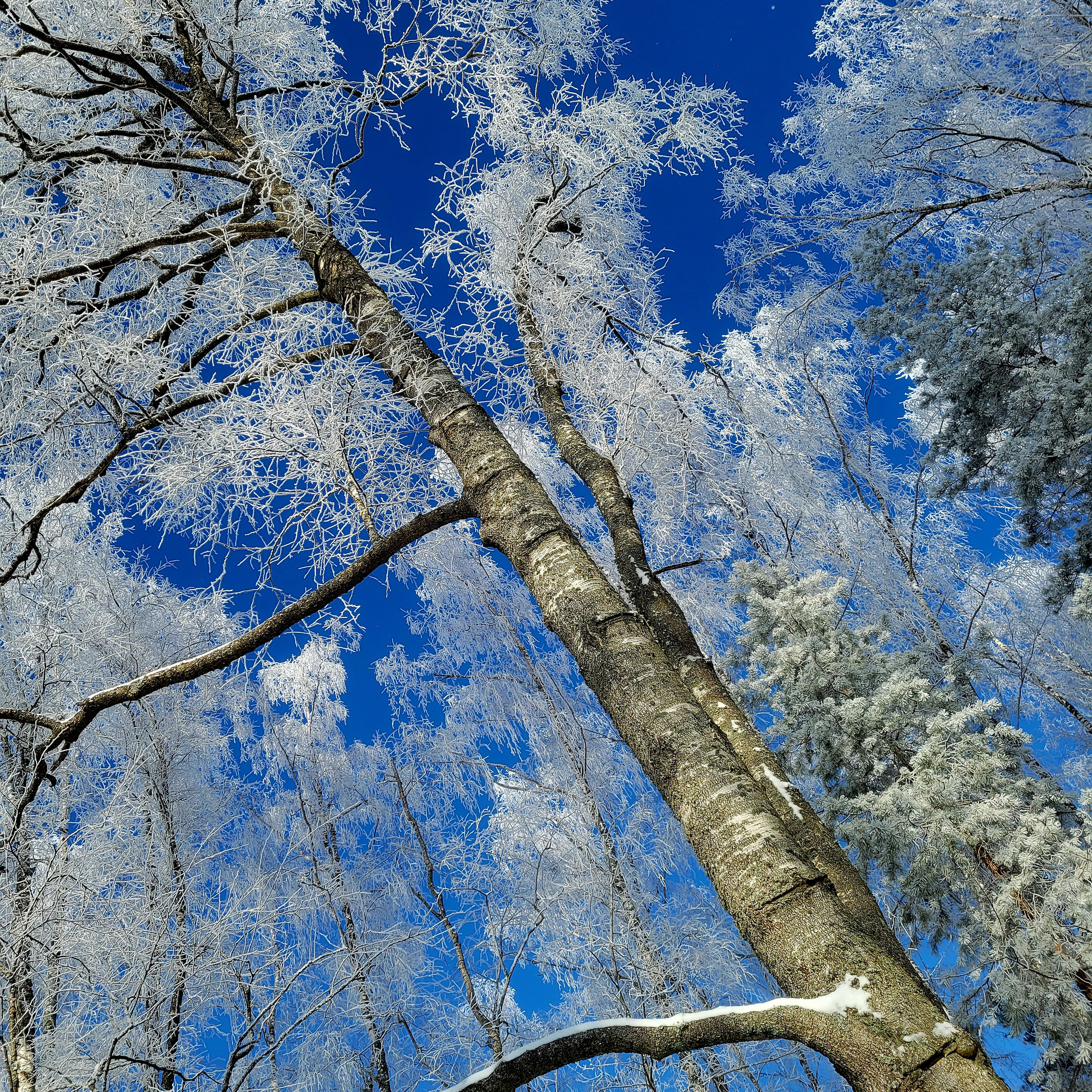 Walk & Fly with Batay