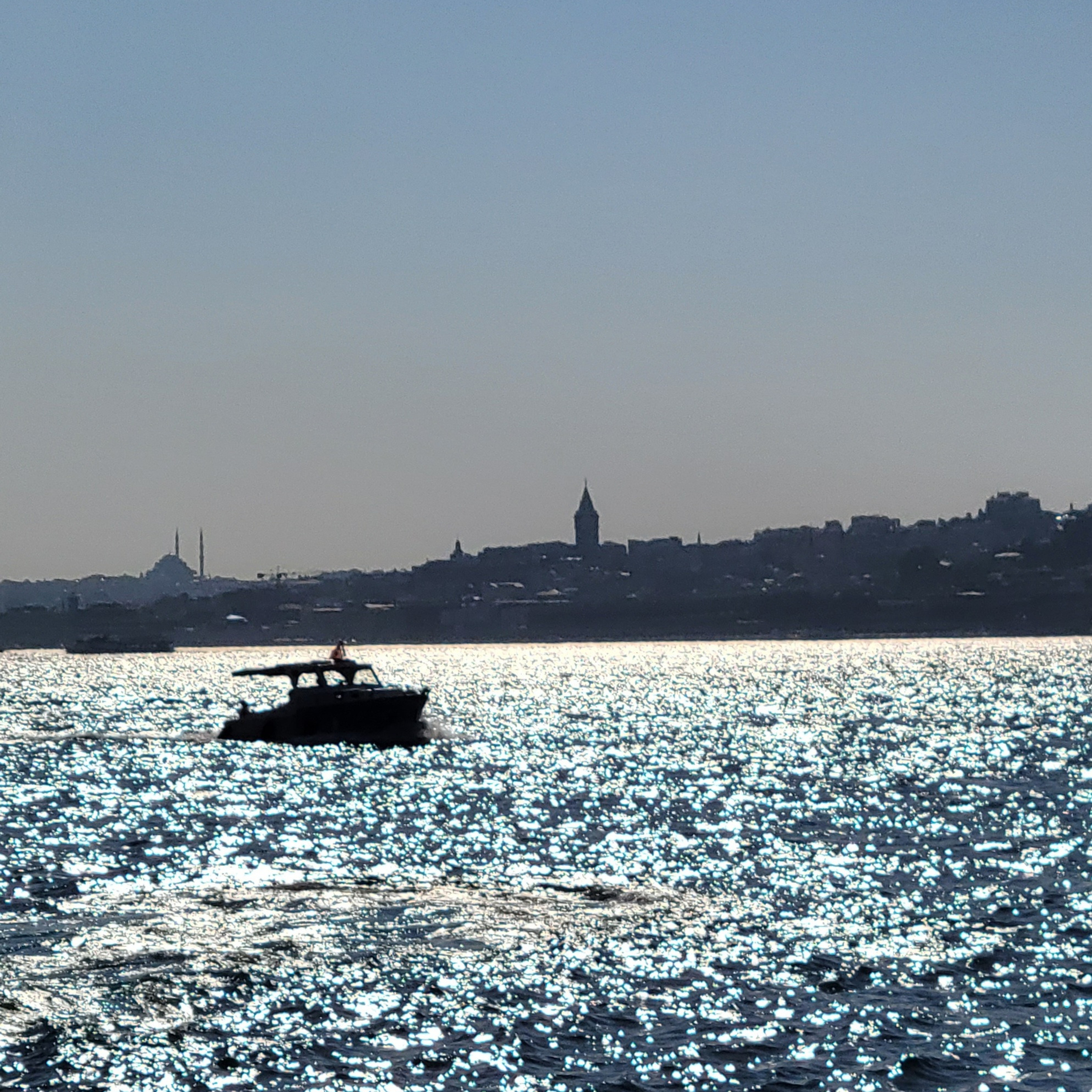 Walk & Fly with Batay