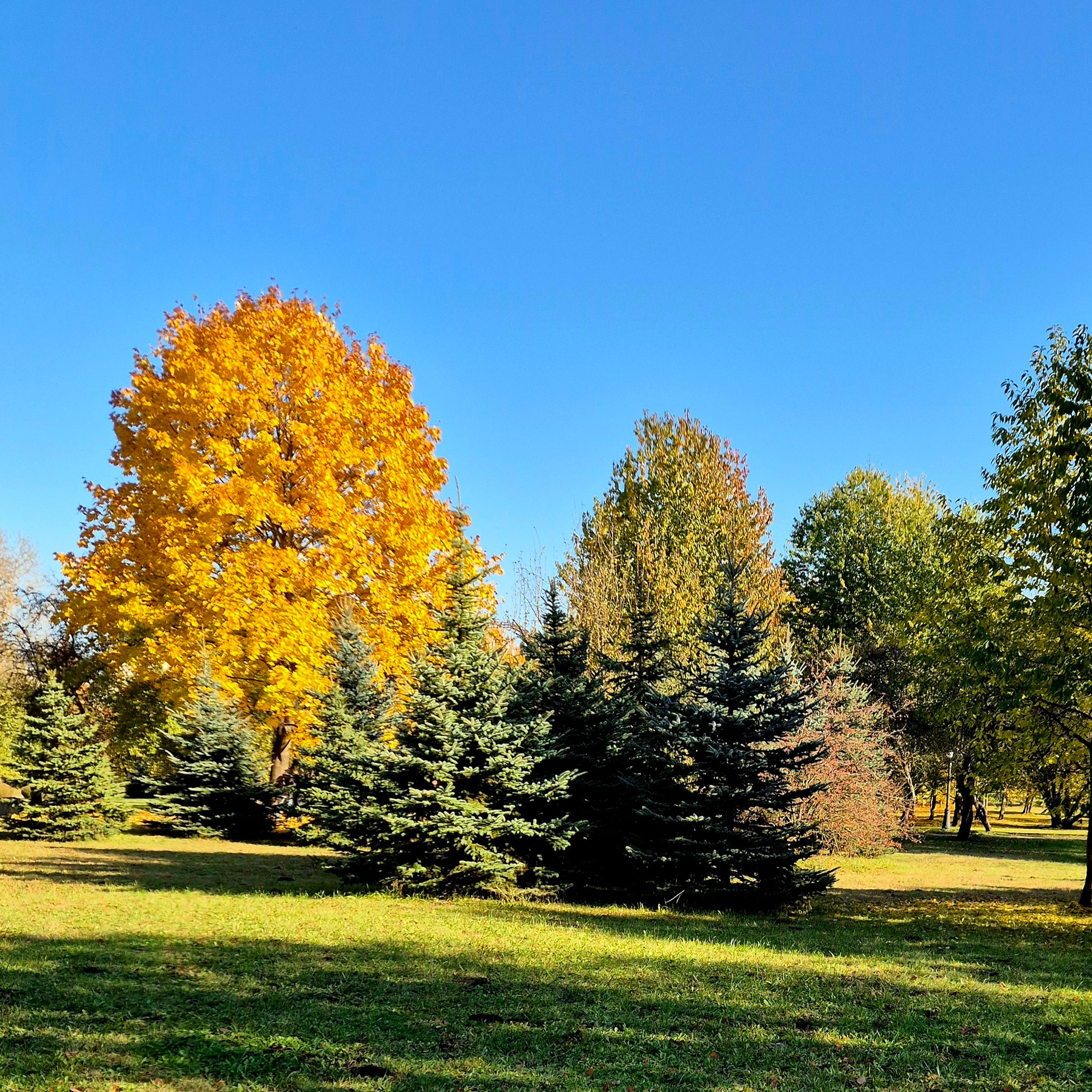 Walk & Fly with Batay