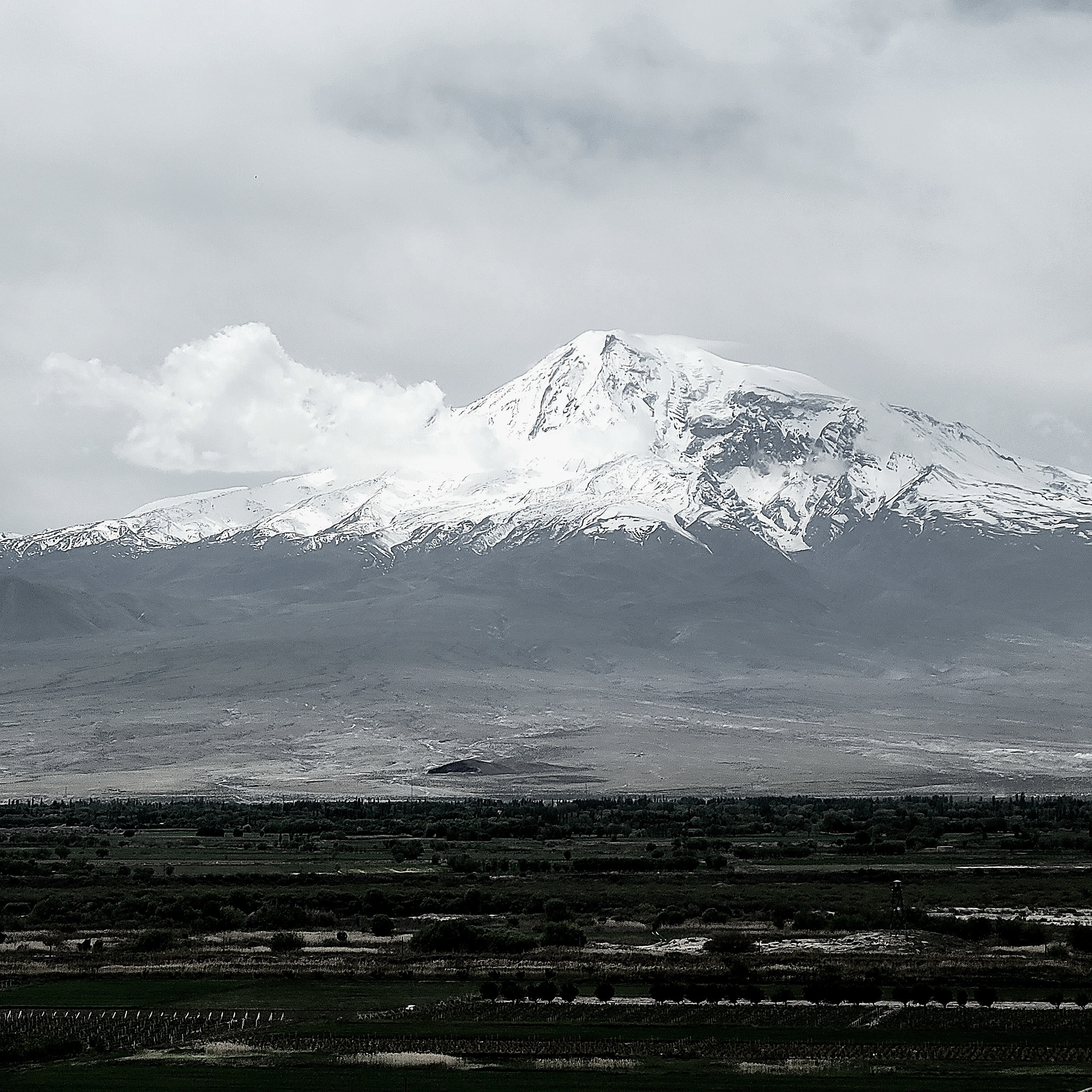 Walk & Fly with Batay