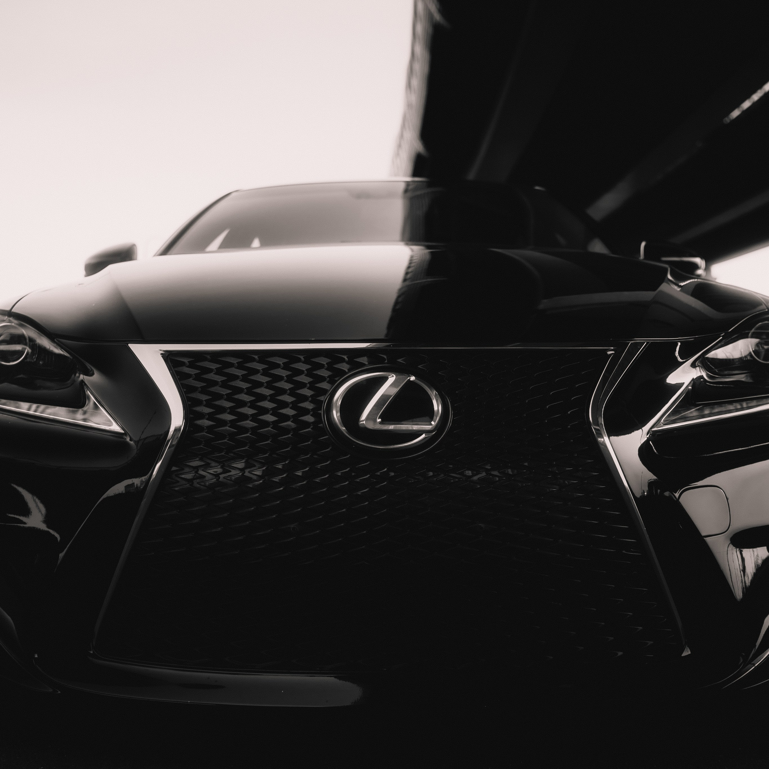 Lexus Day | Decadence