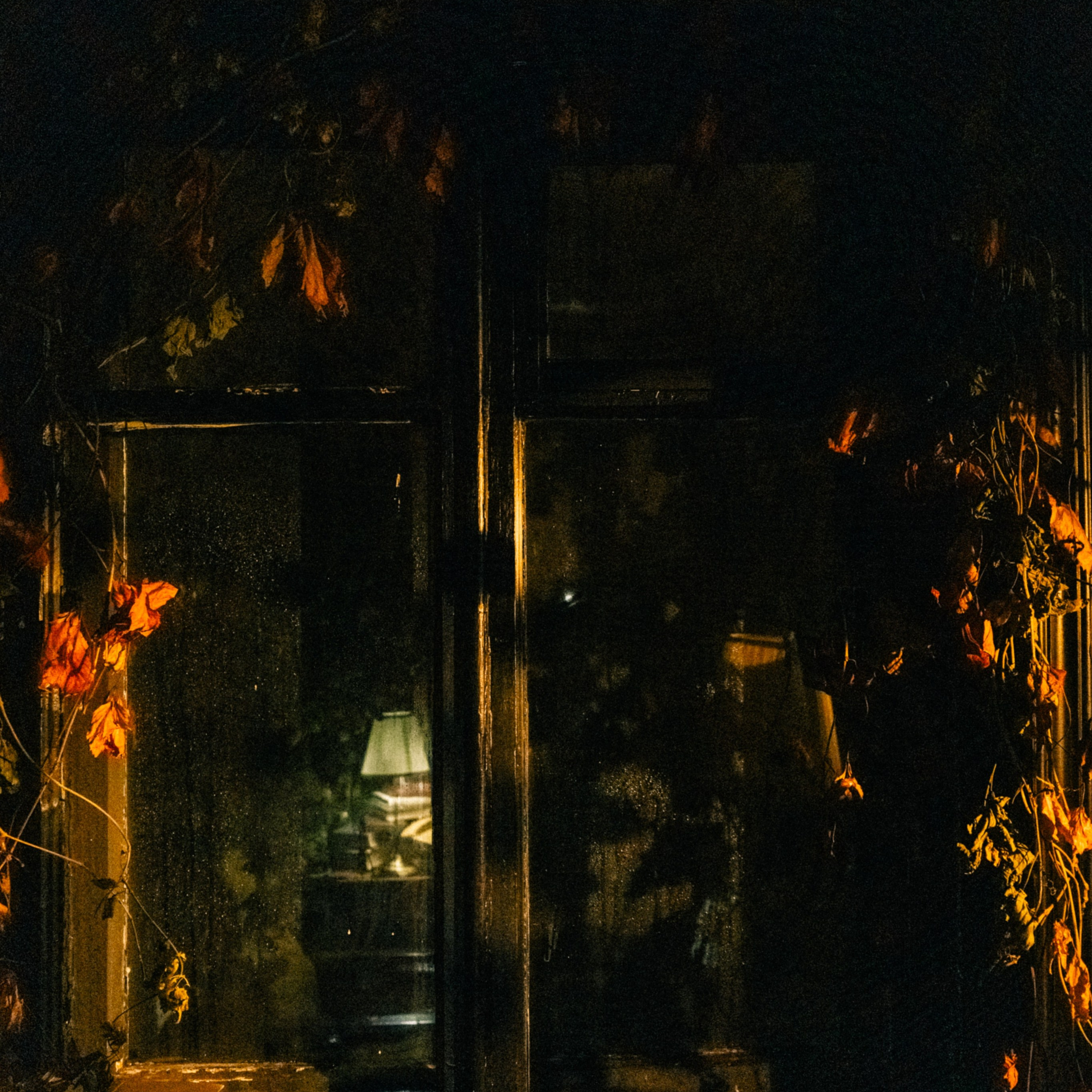 Отзывы. Фотограф в Москве и МО Влада Облако