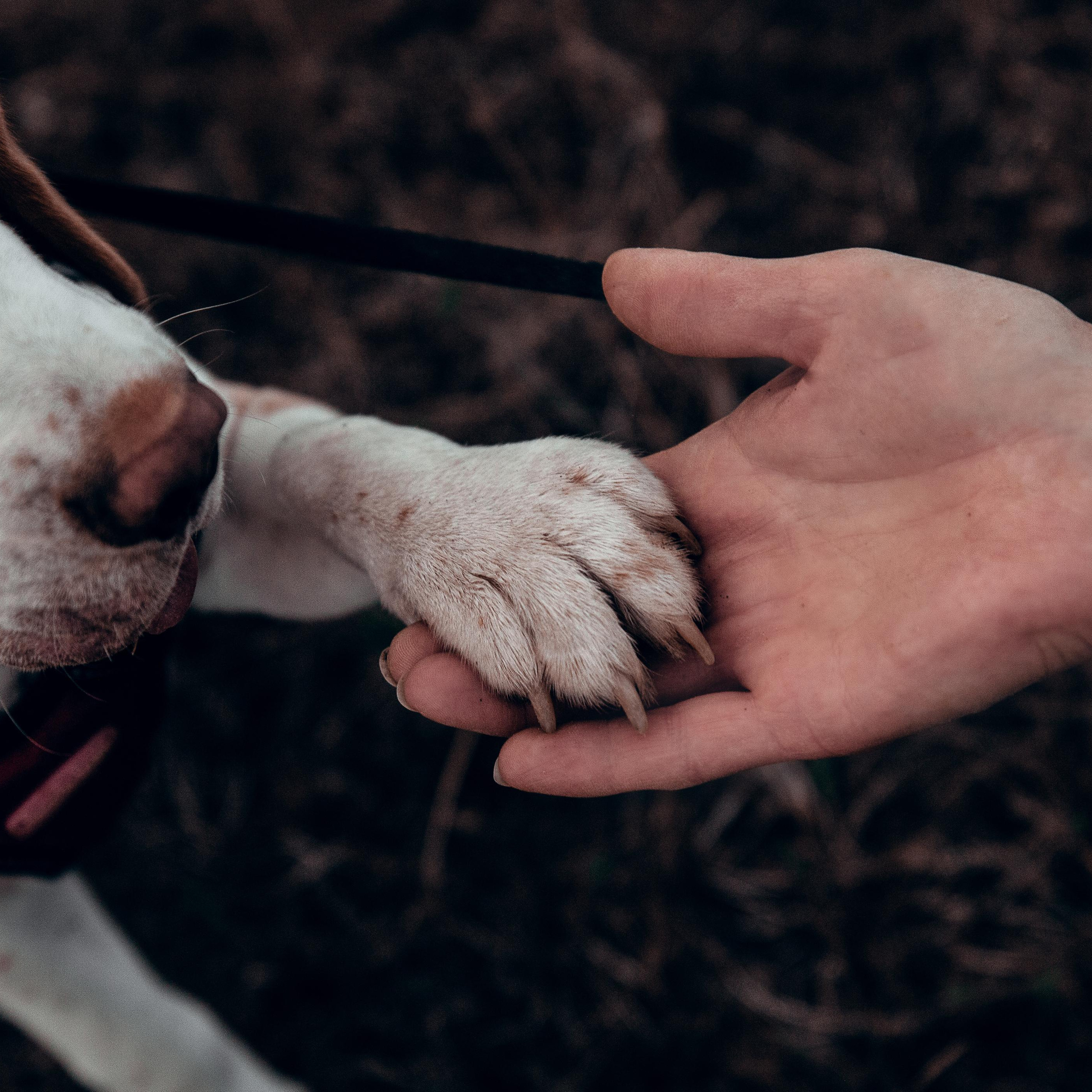 Отзывы. Фотограф в Москве и МО Влада Облако