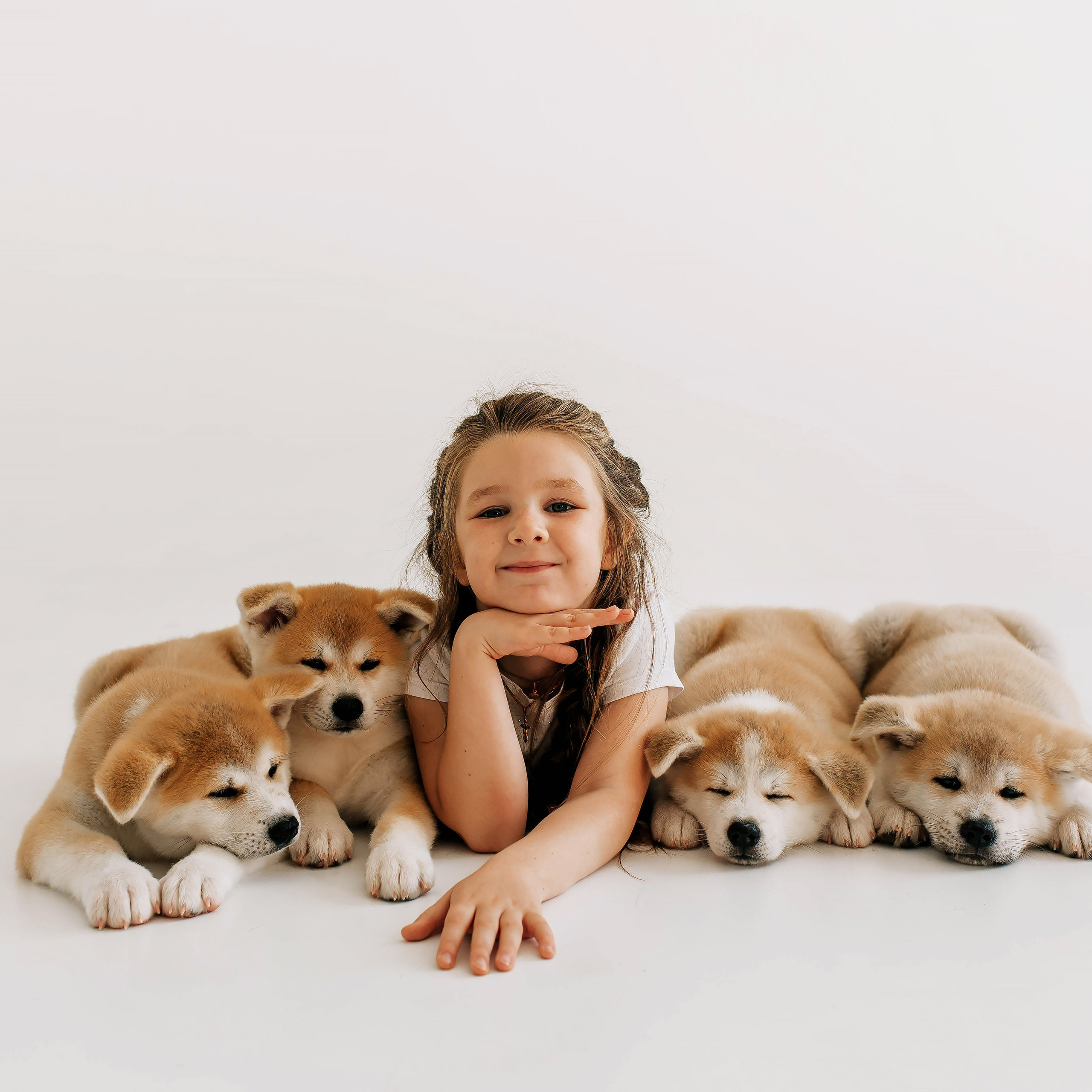 Съемка с щенками акита ину